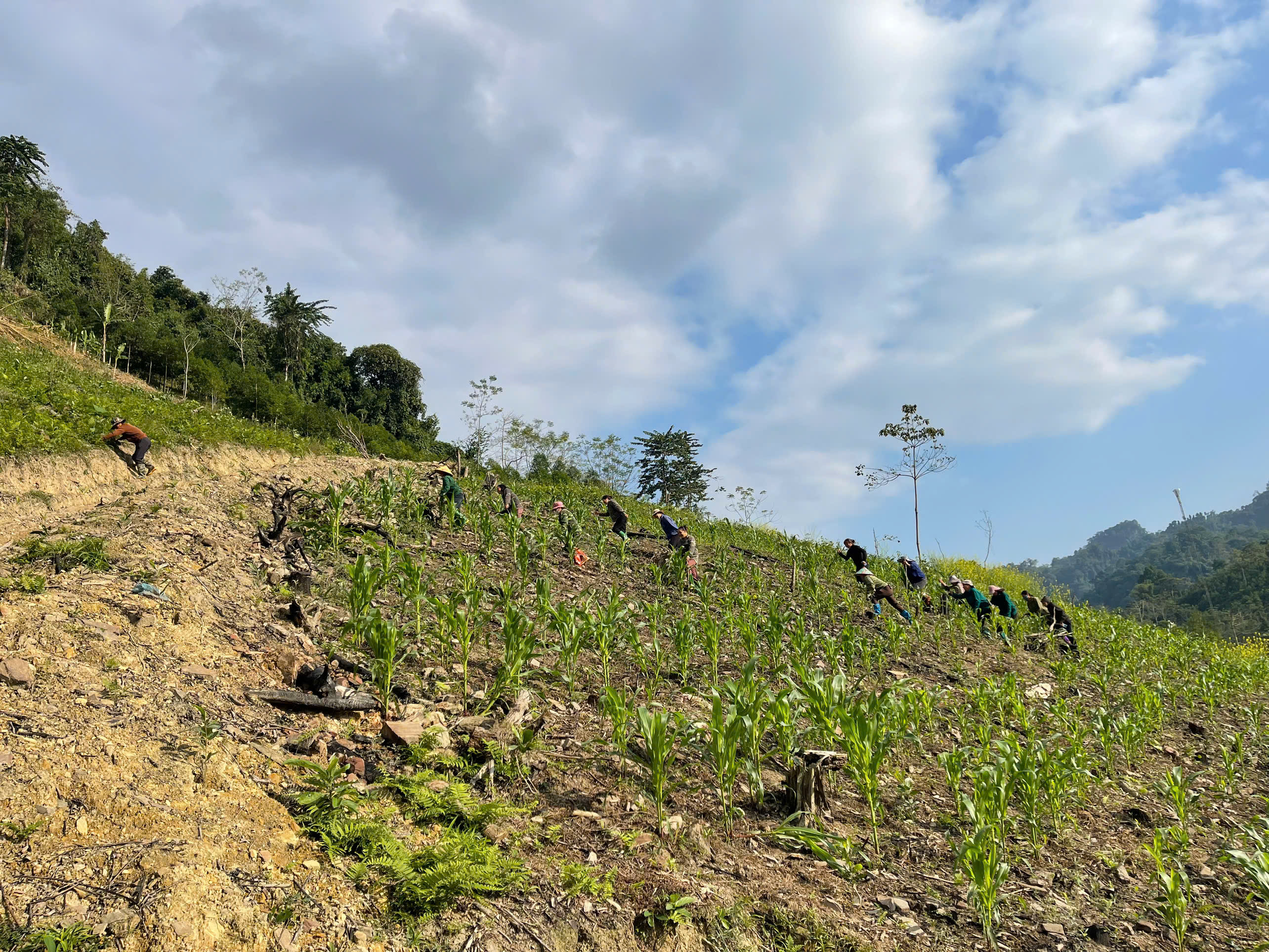 Xã Kiên Đài sẵn sàng cho diễn tập phòng cháy, chữa cháy rừng