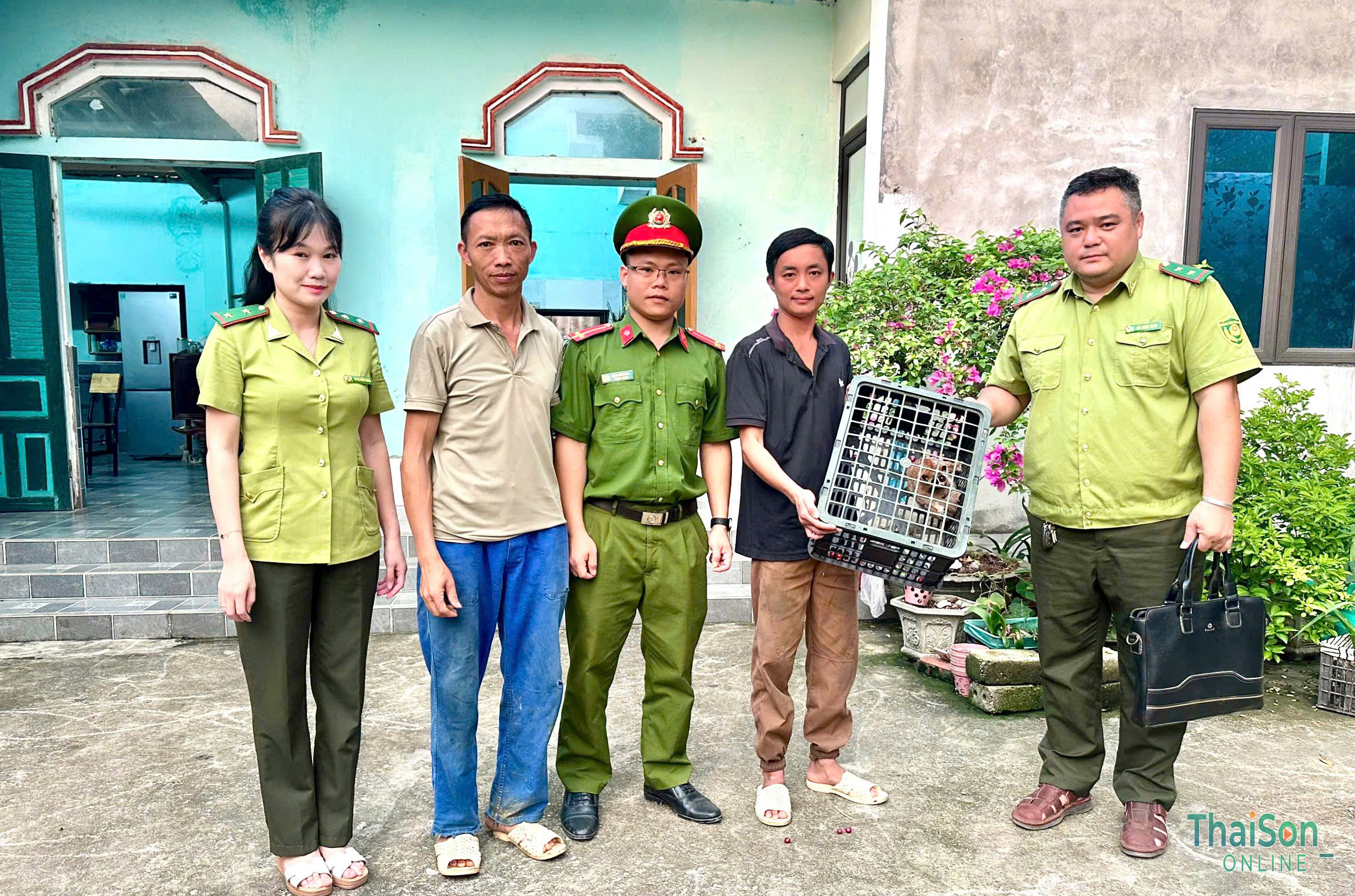 Tiếp nhận và thả 03 cá thể Cu li nhỏ quý hiếm về rừng tự nhiên