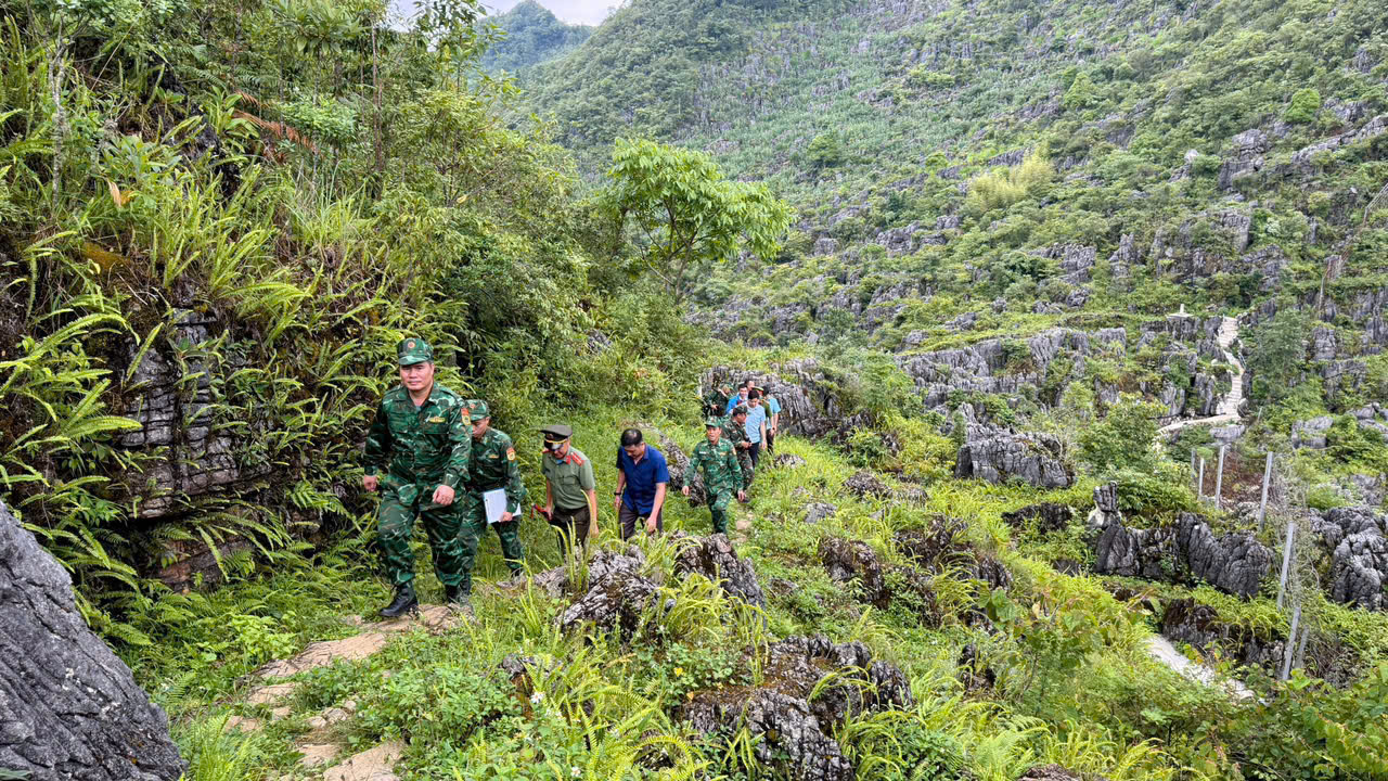 2hai.jpg