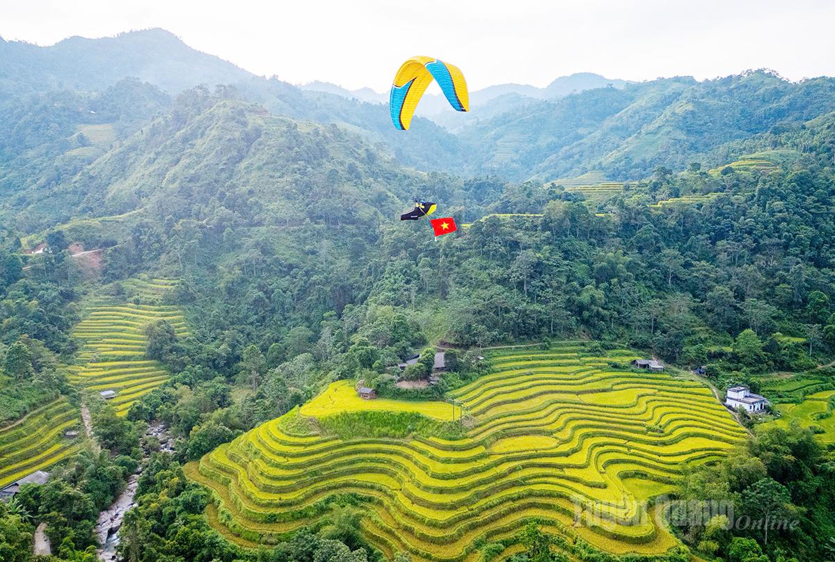 Flying Over the Golden Terraces