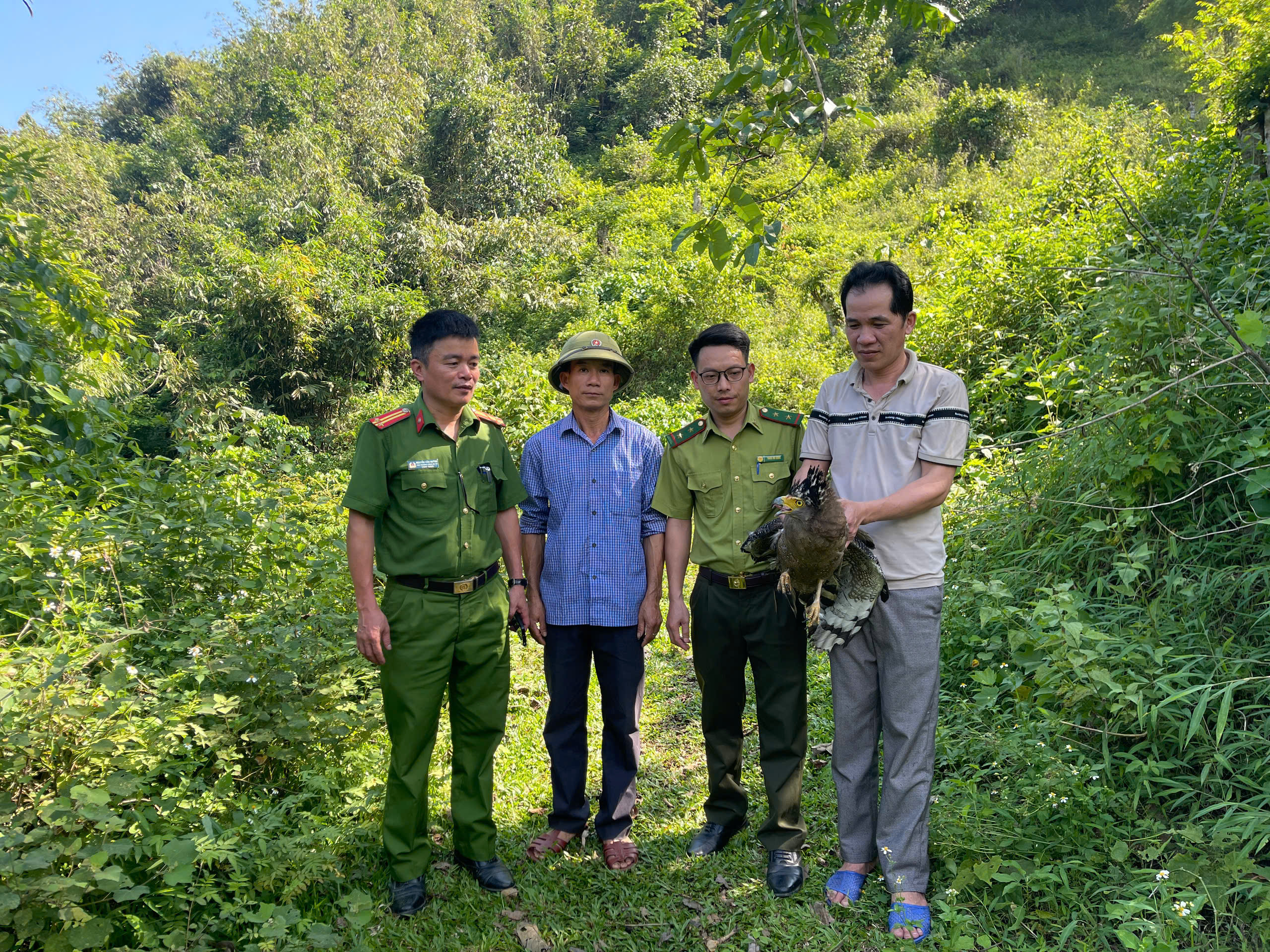BẮC MÊ: NGƯỜI DÂN TỰ NGUYỆN BÀN GIAO CÁ THỂ DIỀU HÂU QUÝ HIẾM CHO CÔNG AN XÃ ĐỂ THẢ VỀ TỰ NHIÊN