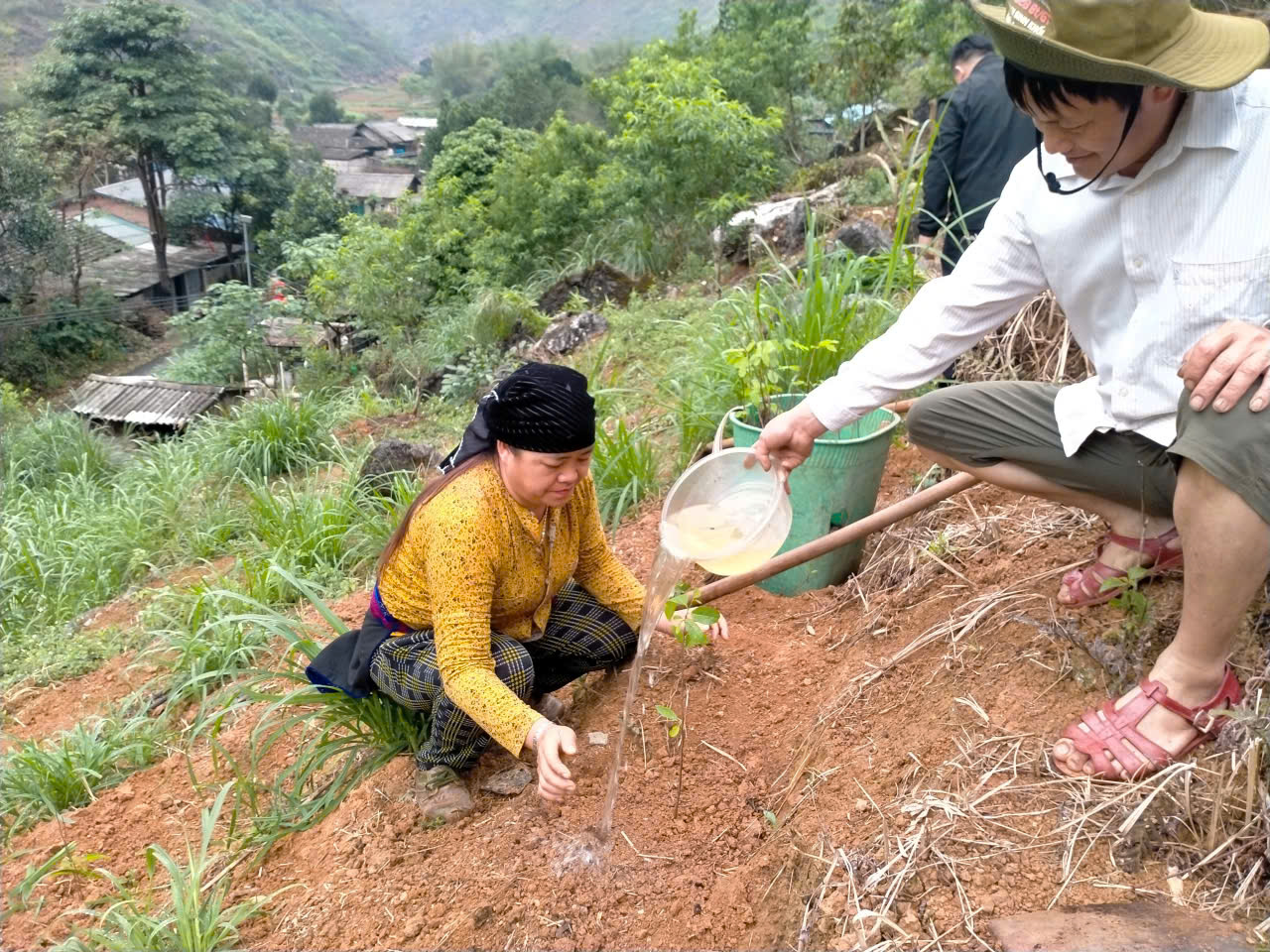 XÃ CÁN TỶ ĐẨY MẠNH CÔNG TÁC TUYÊN TRUYỀN, VẬN ĐỘNG, HƯỚNG DẪN TRỒNG DẶM, CHĂM SÓC CÂY NA