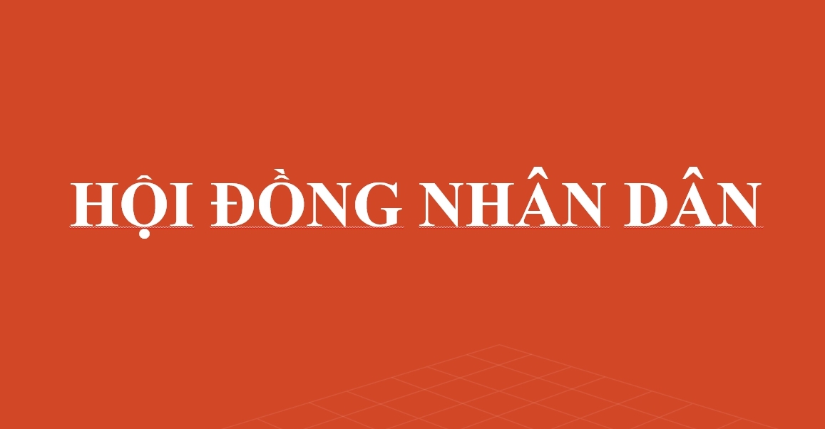Hội đồng nhân dân