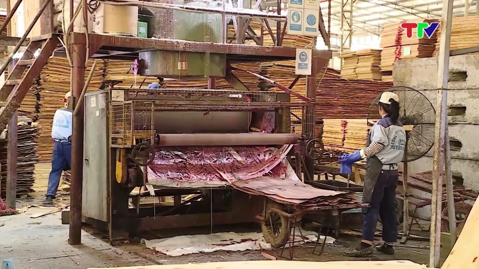 CÔNG NGHIỆP CHẾ BIẾN GỖ RỪNG TRỒNG 