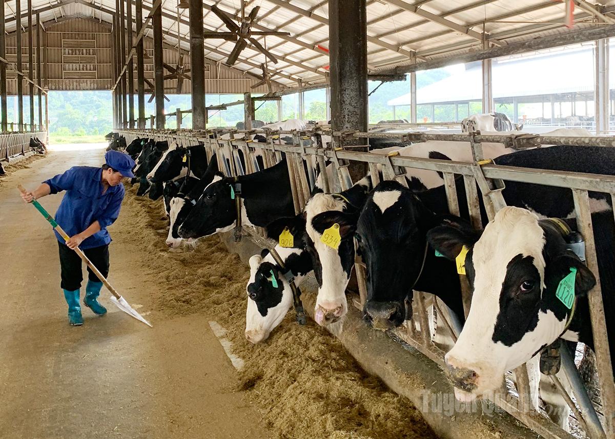 “Vượt bão” thành công