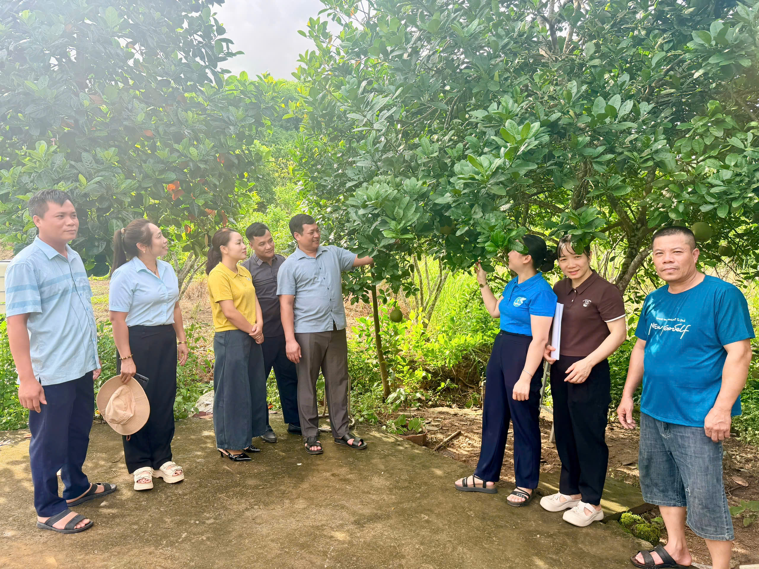 Nhữ Khê khơi dậy nội lực từ mỗi khu vườn - Biến kinh tế hộ gia đình thành động lực phát triển địa phương