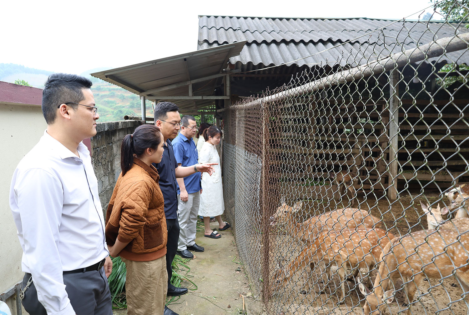 UBND xã khảo sát các mô hình kinh tế, thúc đẩy chuyển đổi cơ cấu cây trồng, vật nuôi