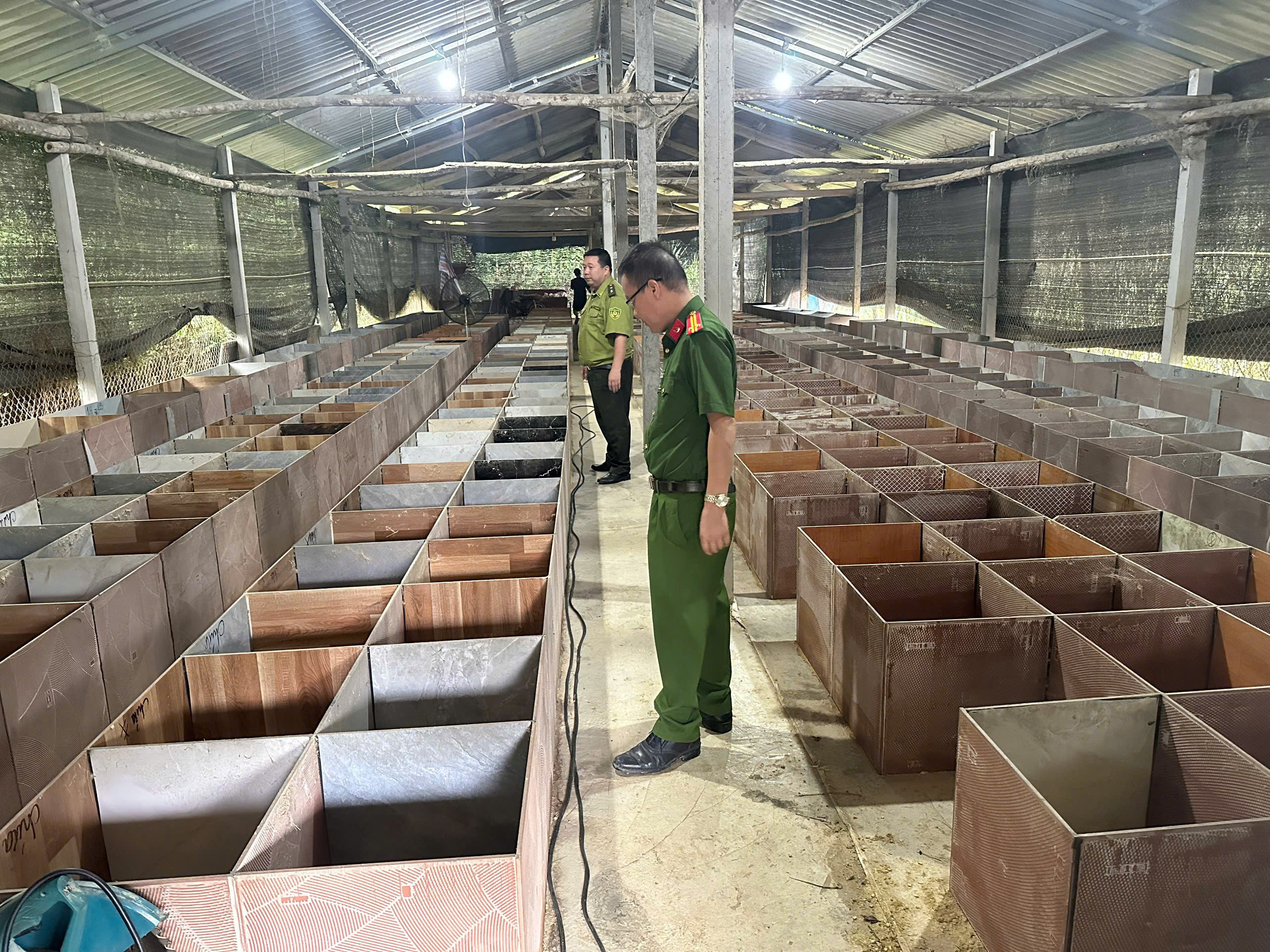 CÔNG AN XÃ KIM BÌNH TĂNG CƯỜNG QUẢN LÝ, BẢO VỆ ĐỘNG VẬT HOANG DÃ 