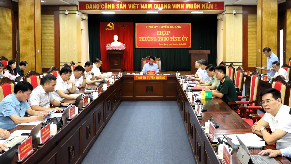 Thường trực Tỉnh ủy cho ý kiến vào các chủ trương quan trọng
