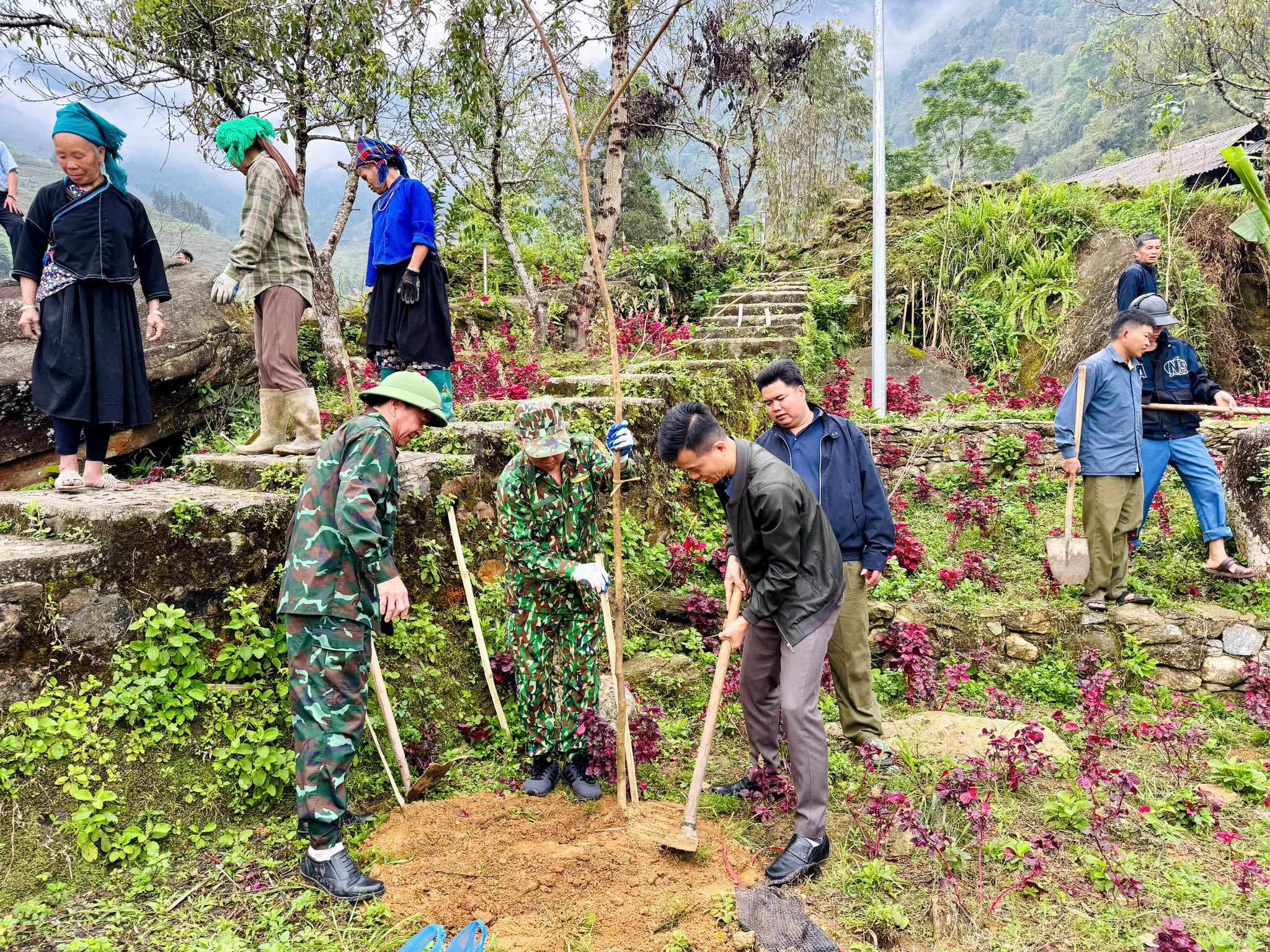XÃ NẤM DẨN TỔ CHỨC RA QUÂN TẾT TRỒNG CÂY XUÂN BÍNH NGỌ NĂM 2026