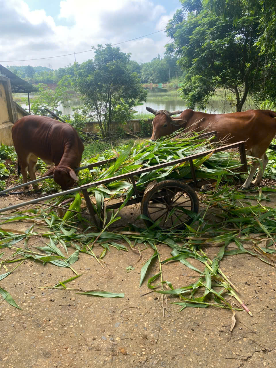 TĂNG GIA SẢN XUẤT – LAN TỎA NIỀM VUI LAO ĐỘNG 