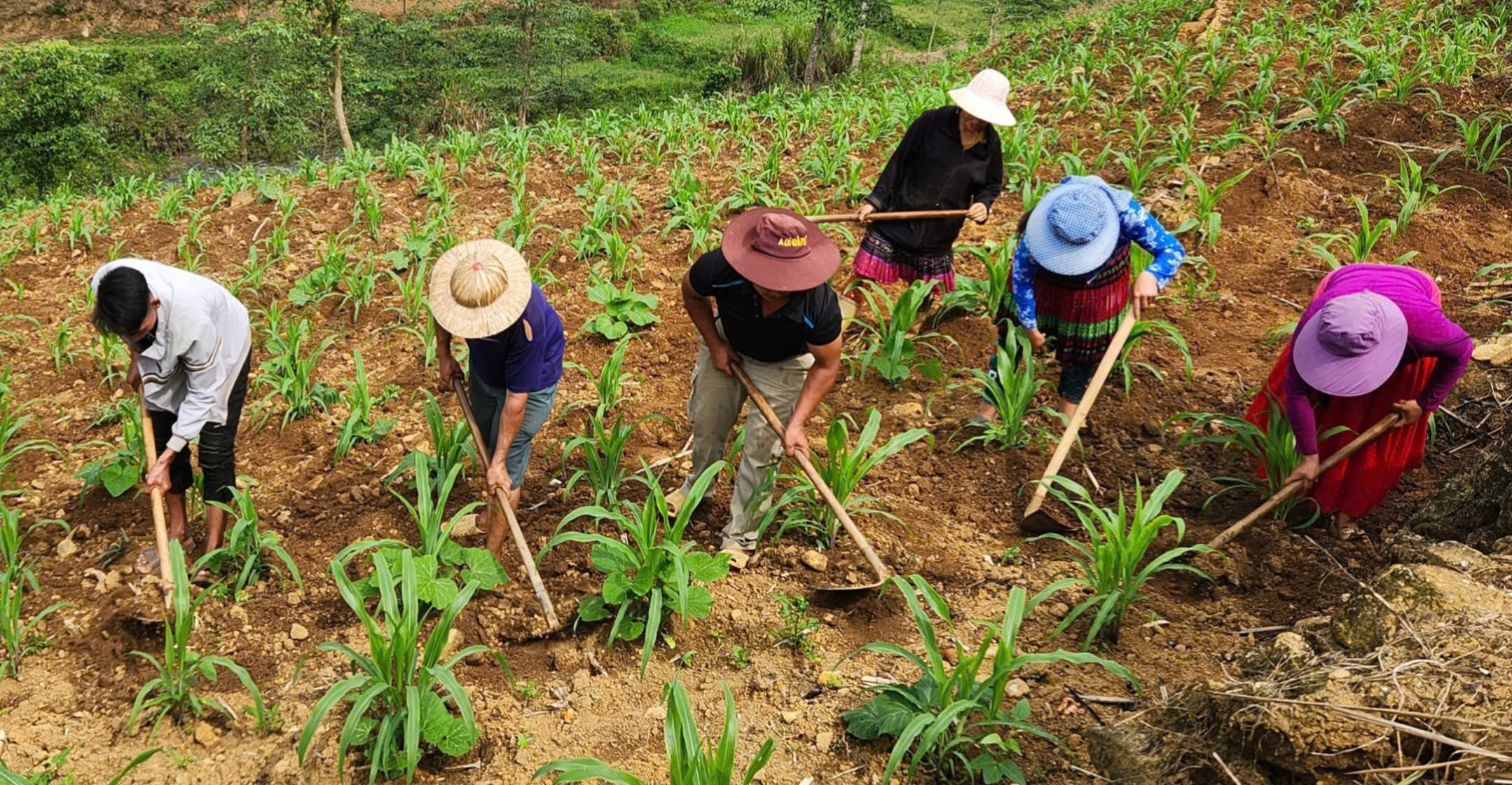 Tát Ngà đưa nghị quyết vào cuộc sống