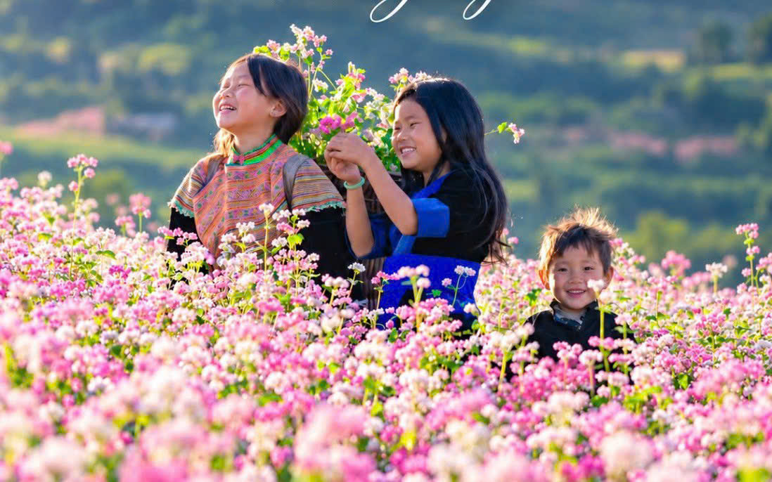 LỊCH KHAI MẠC LỄ HỘI HOA TAM GIÁC MẠCH LẦN THỨ XIILỊCH KHAI MẠC LỄ HỘI HOA TAM GIÁC MẠCH LẦN THỨ XII