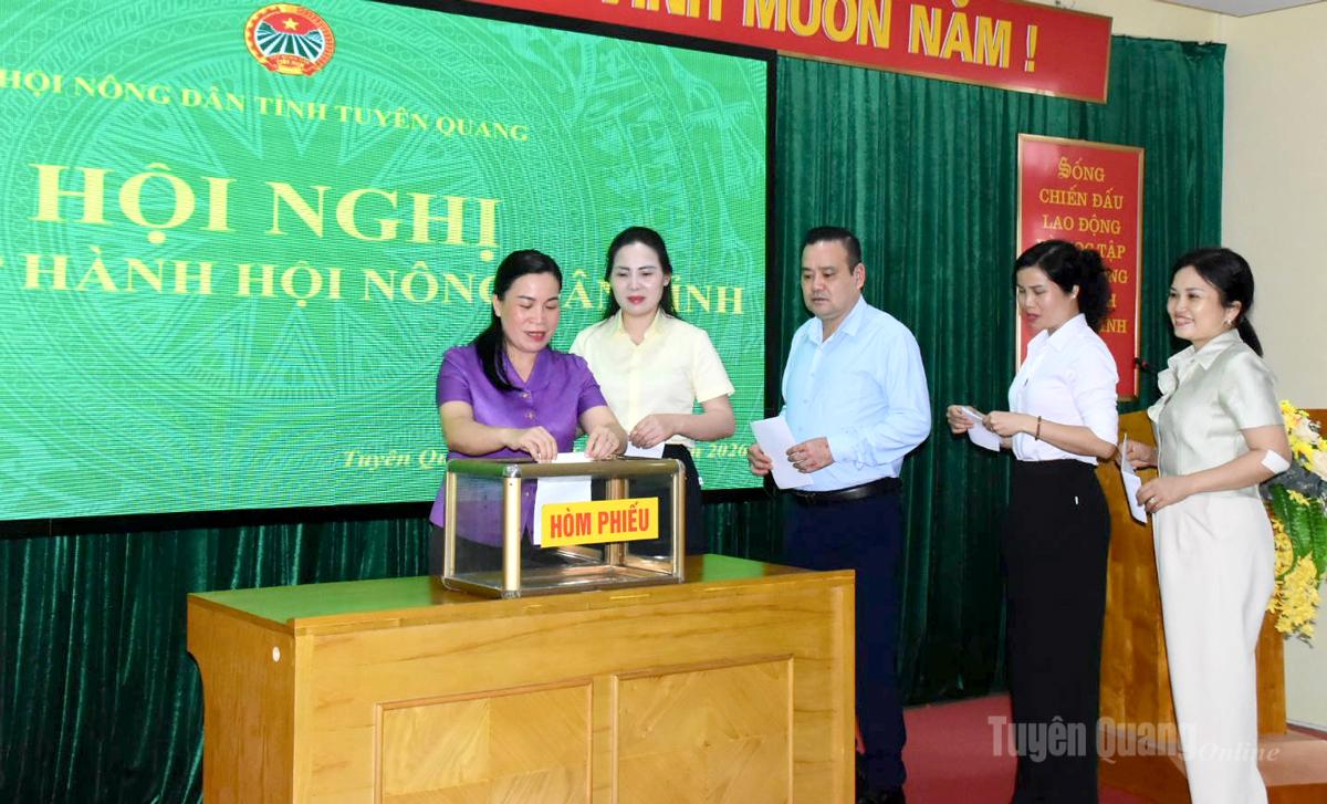 Hội Nông dân tỉnh kiện toàn nhân sự, bầu Phó Chủ tịch nhiệm kỳ 2025-2030