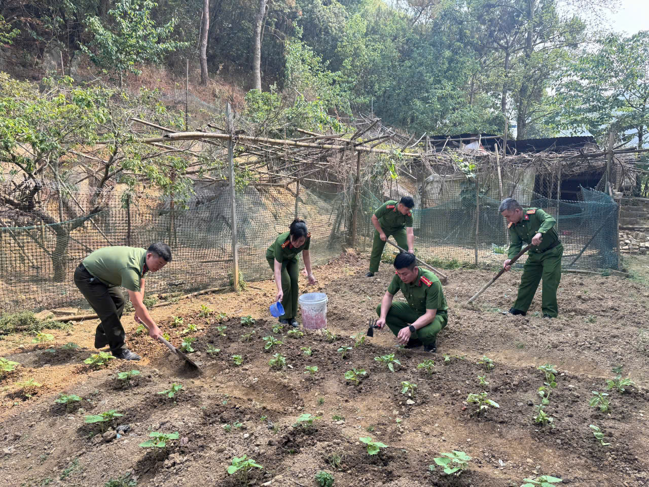ĐOÀN THANH NIÊN CÔNG AN XÃ LŨNG CÚ ĐẨY MẠNH TĂNG GIA SẢN XUẤT, TRỒNG RAU XANH