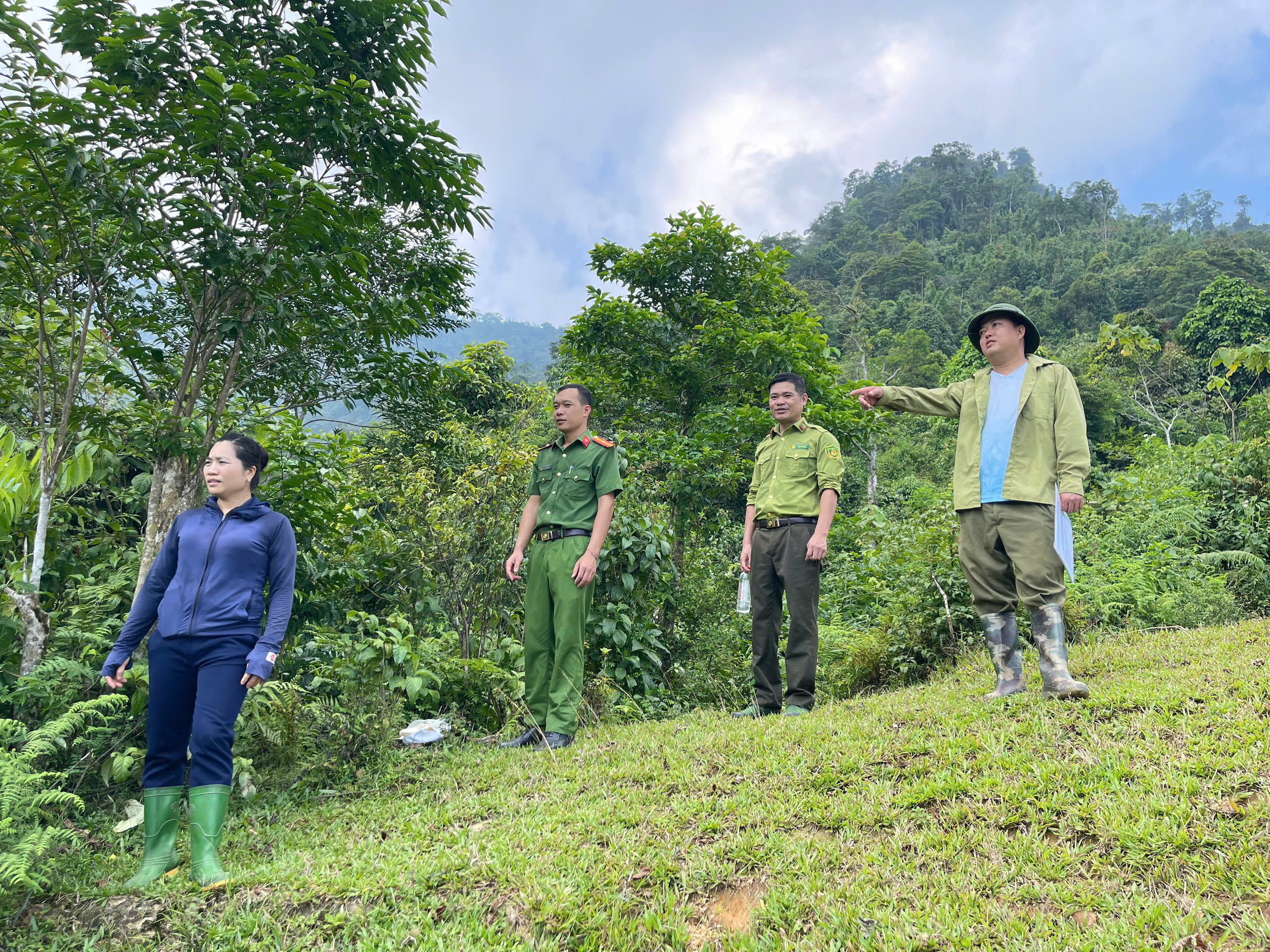 (Quang Bình – Tuyên Quang) HĐND xã tăng cường giám sát, nâng cao trách nhiệm quản lý, bảo vệ rừng từ cơ sở