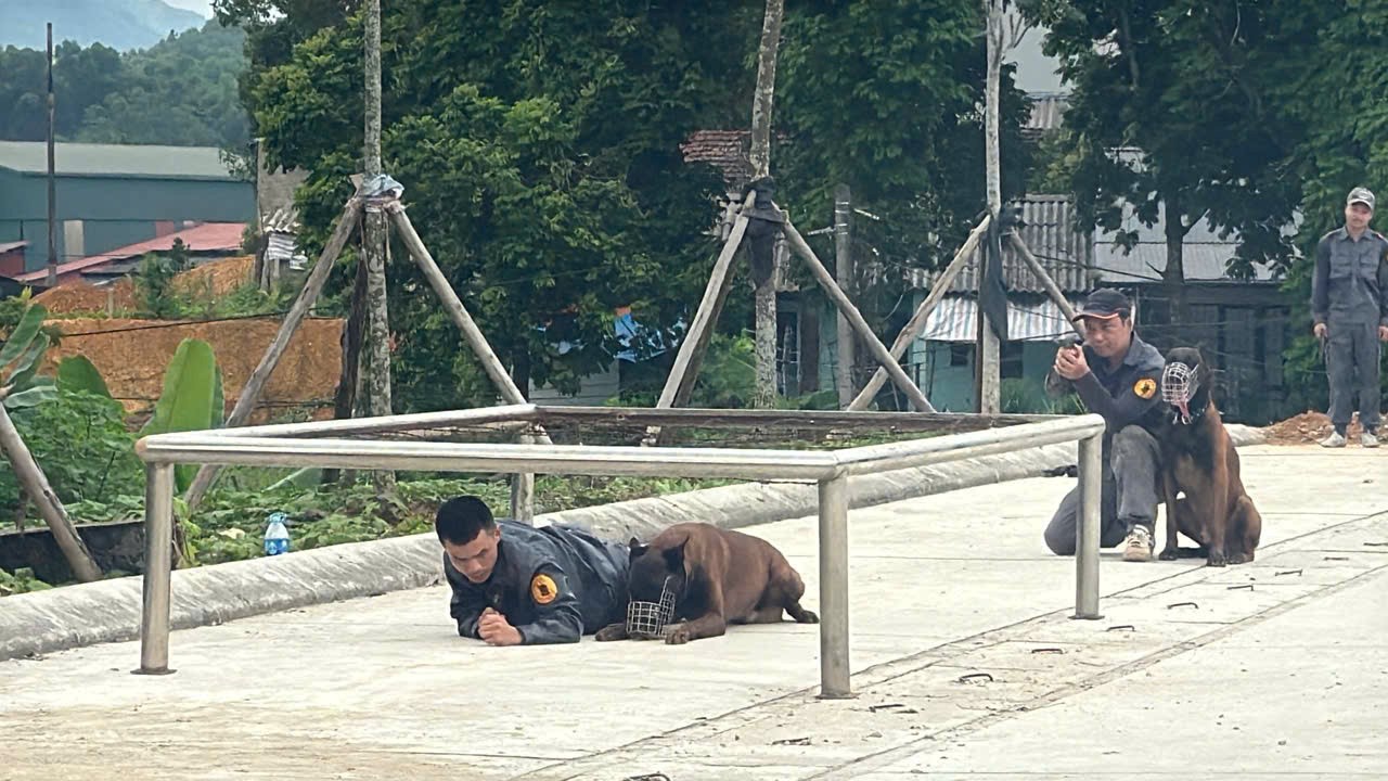 TÍCH CỰC HUẤN LUYỆN CHÓ NGHIỆP VỤ SẴN SÀNG THỰC HIỆN NHIỆM VỤ TÌM KIẾM, CỨU NẠN TRONG MÙA MƯA BÃO