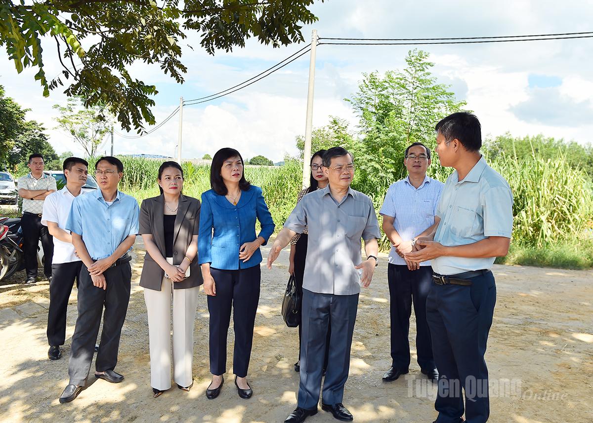 Đoàn công tác Thường trực HĐND tỉnh khảo sát tại Công ty Cổ phần Hồ Toản