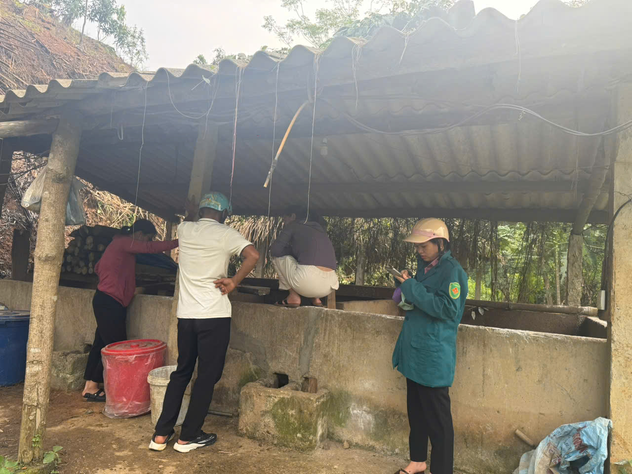 kiểm trantinhf h&igrave;nh dịch bệnh tr&ecirc;n đ&agrave;n gia s&uacute;c2.jpg