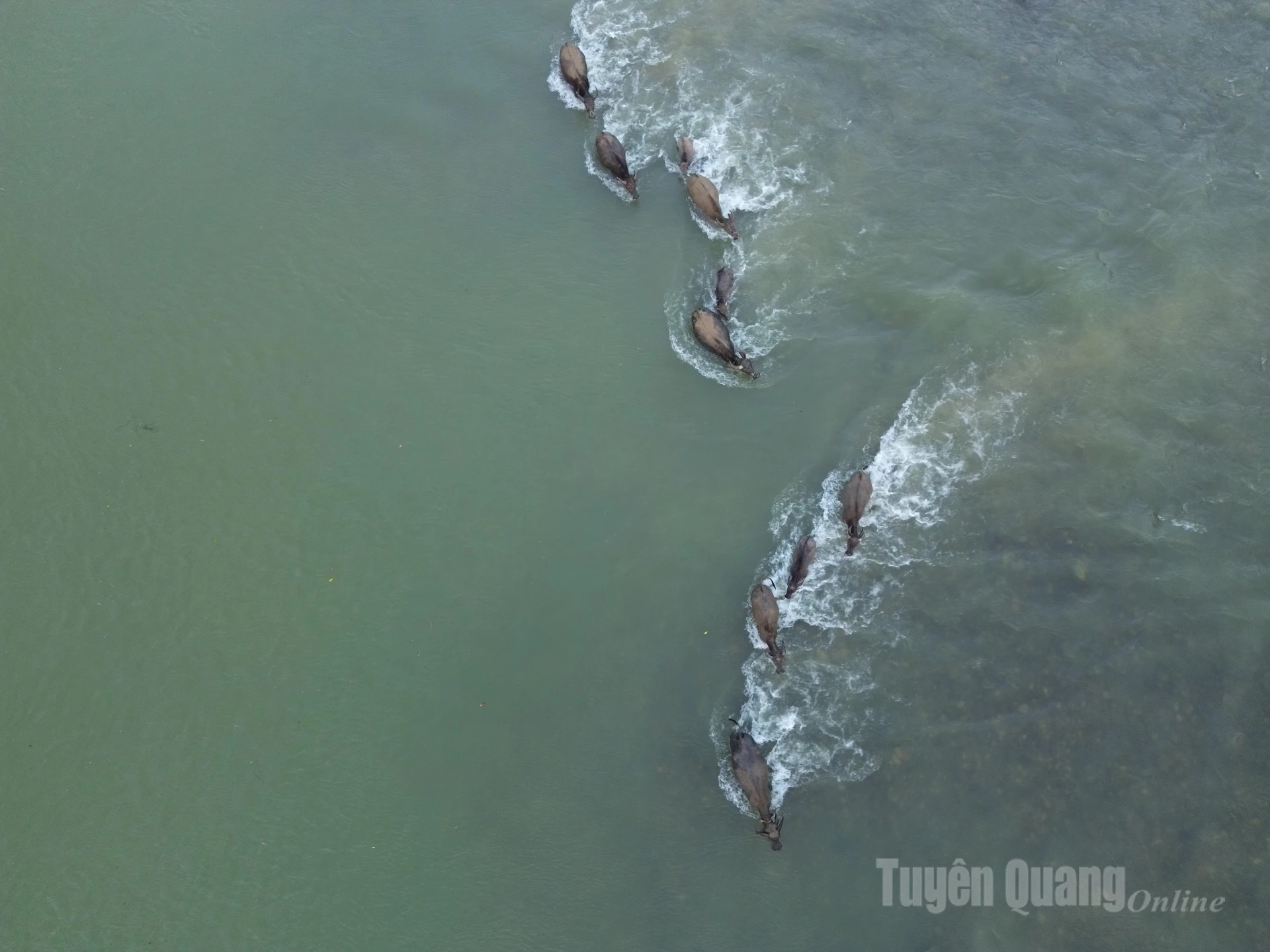 Làng Tày Hạ Thành thơ mộng giữa đông