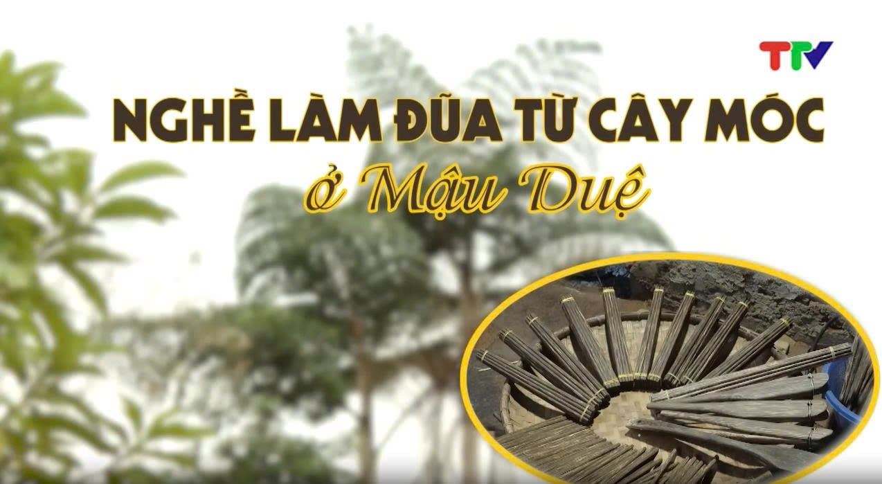 c3306135bfc57bca78c30bf176d509a0