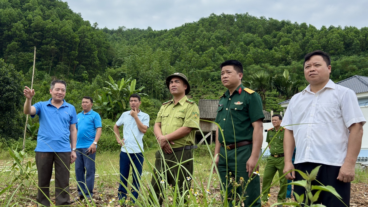 XÃ YÊN PHÚ KIỂM TRA THỰC ĐỊA THAO TRƯỜNG PHỤC VỤ DIỄN TẬP PHÒNG THỦ DÂN SỰ, ỨNG PHÓ CHÁY RỪNG VÀ TÌM KIẾM CỨU NẠN NĂM 2026