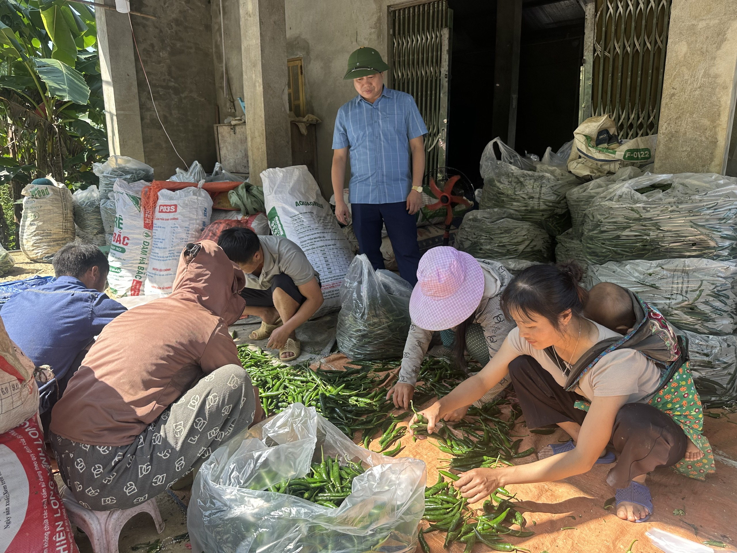 Thường trực Đảng ủy xã Nghĩa Thuận làm việc với Công ty TNHH một thành viên Thiên Phú SH, thúc đẩy liên kết sản xuất, phát triển nông nghiệp bền vững