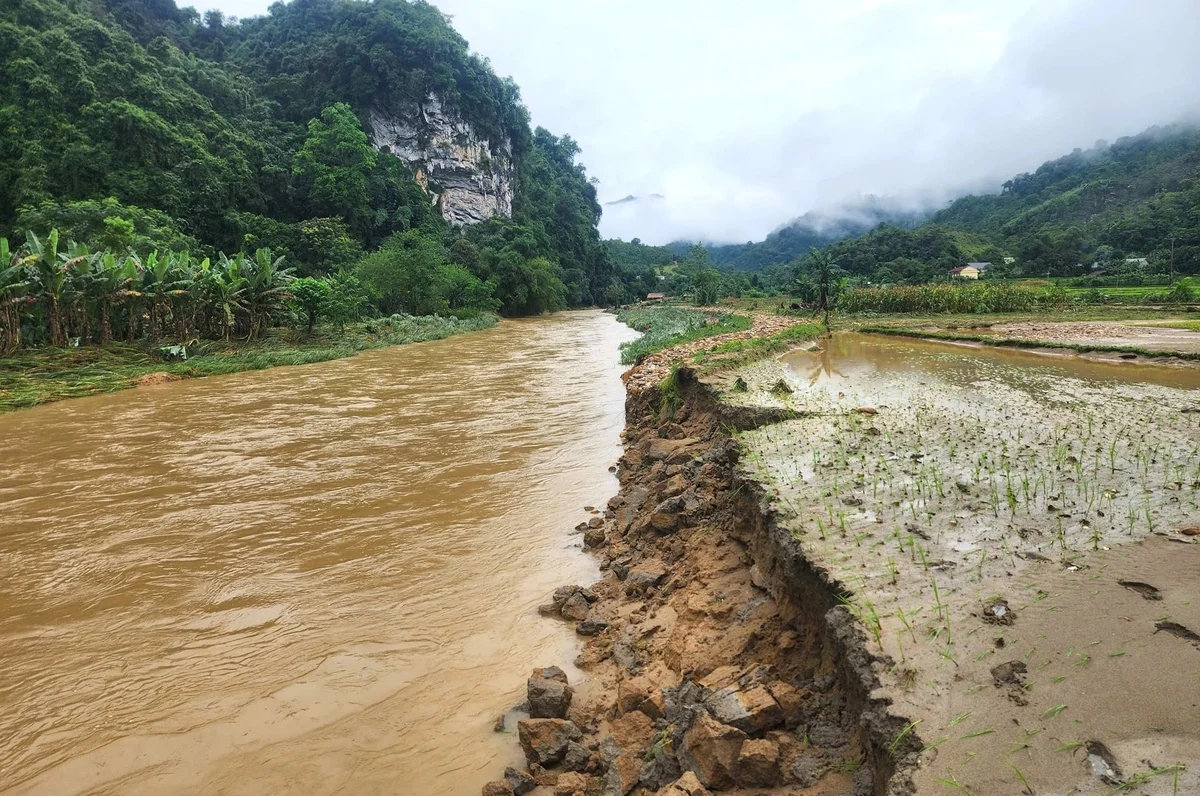 Chủ động ứng phó bão số 1, tập trung phòng ngừa mưa lớn, lũ quét và sạt lở đất