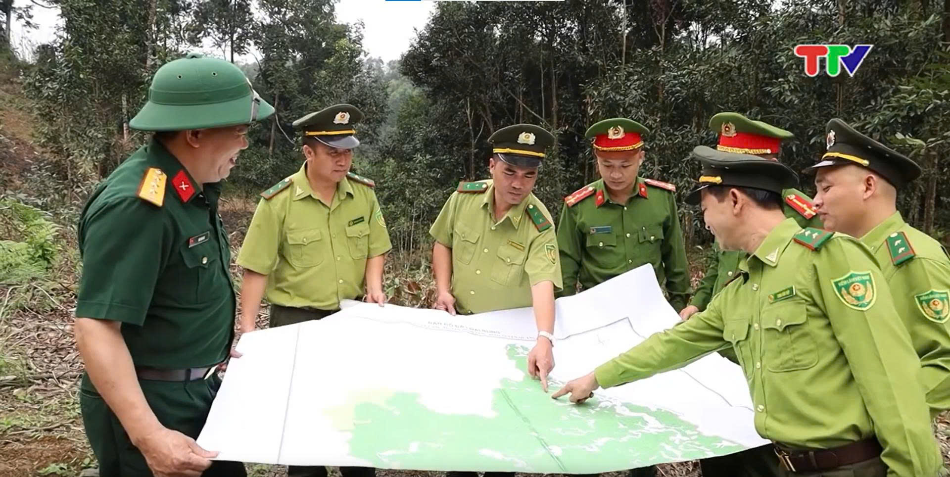 Ứng dụng công nghệ để bảo vệ và phát triển rừng