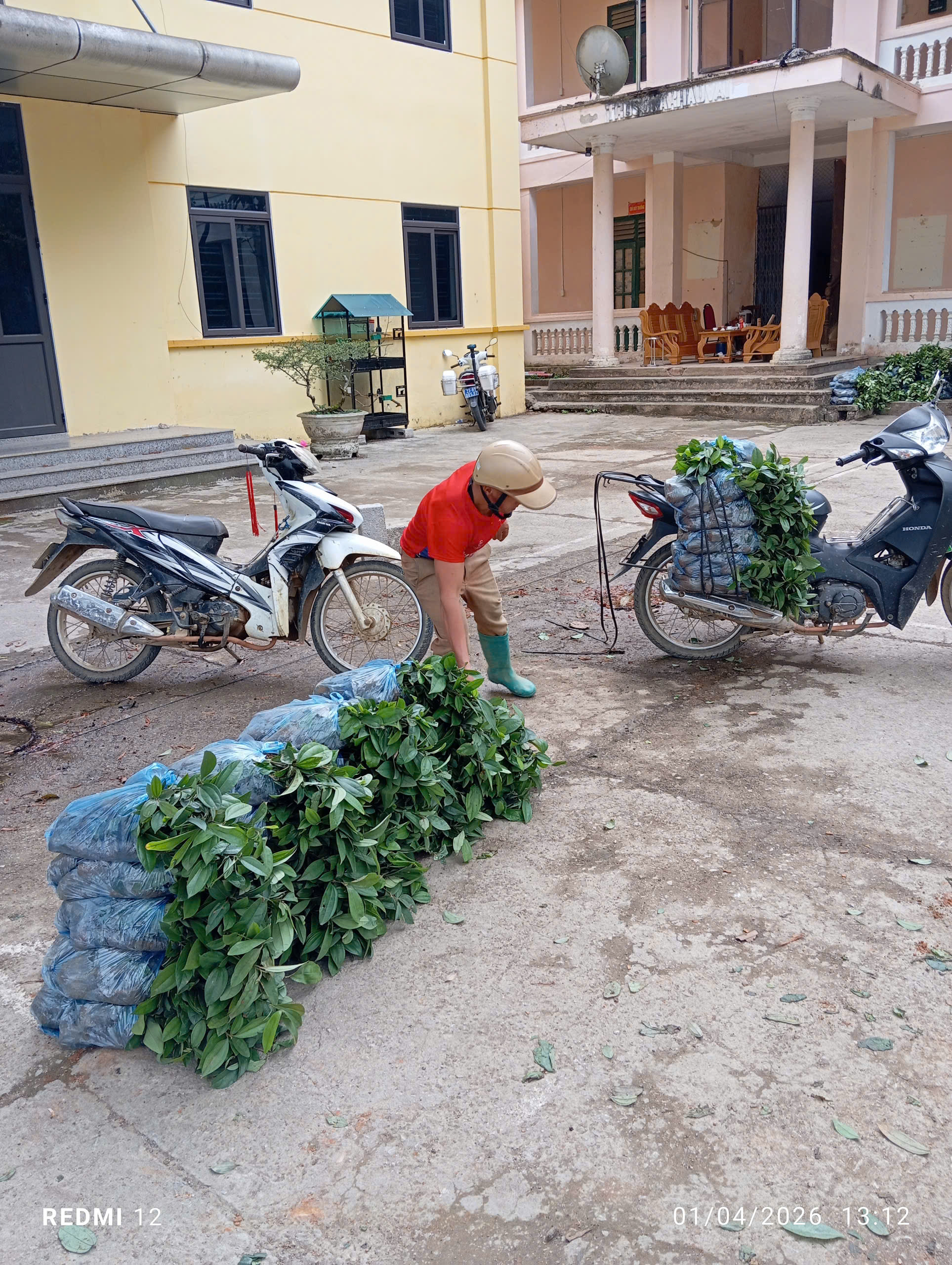 Xã Khâu Vai đẩy mạnh chuyển đổi cơ cấu cây trồng, tạo sinh kế bền vững cho người dân