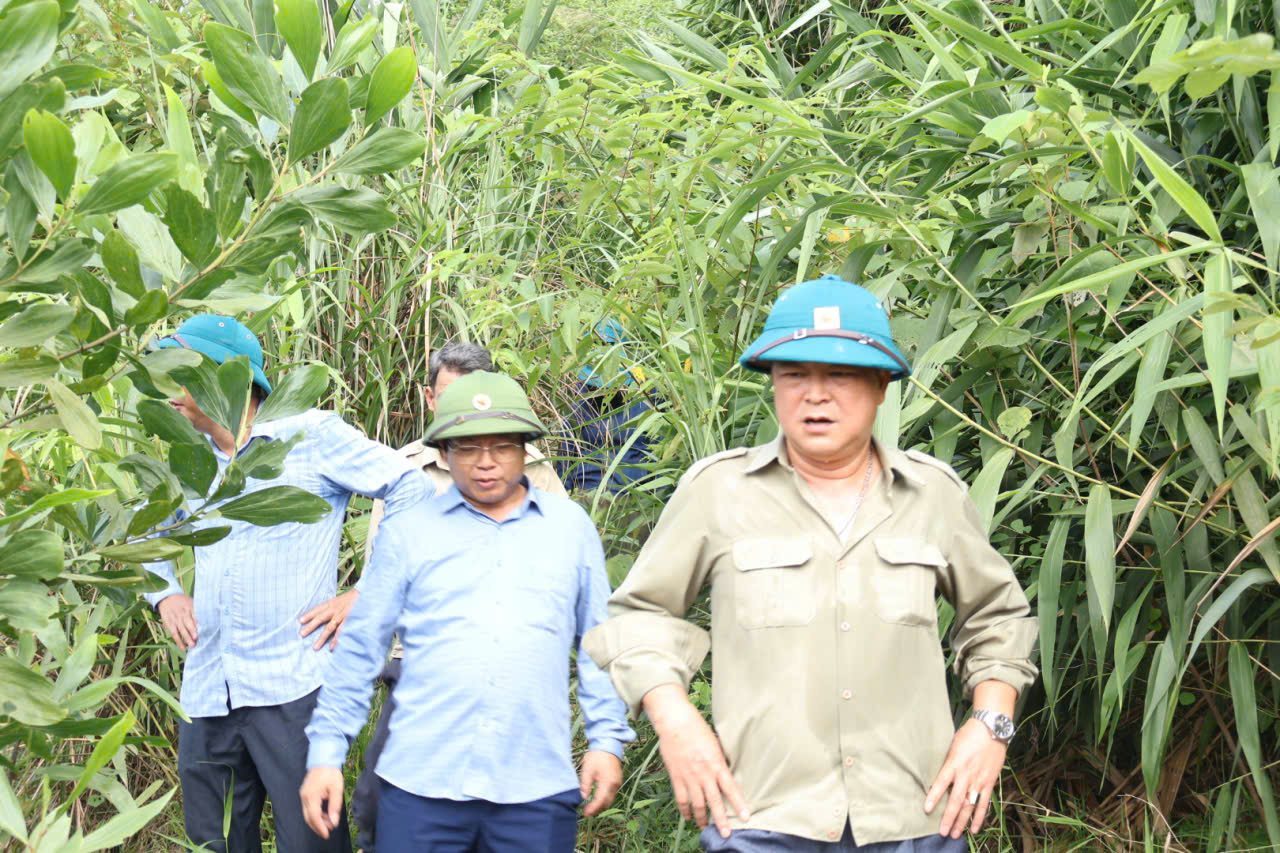 anh 11.jpg