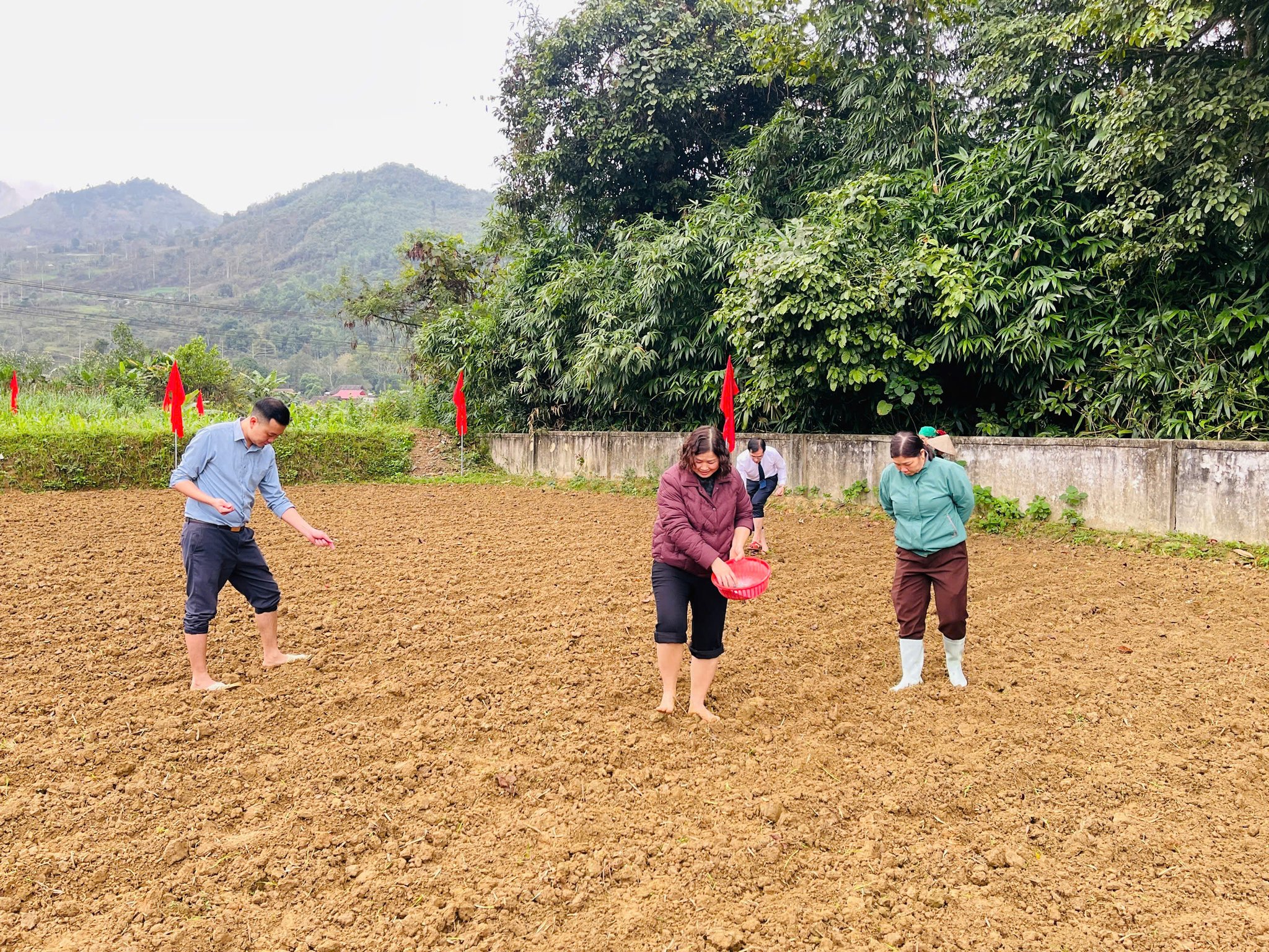 vụ xu&acirc;n 2.jpg