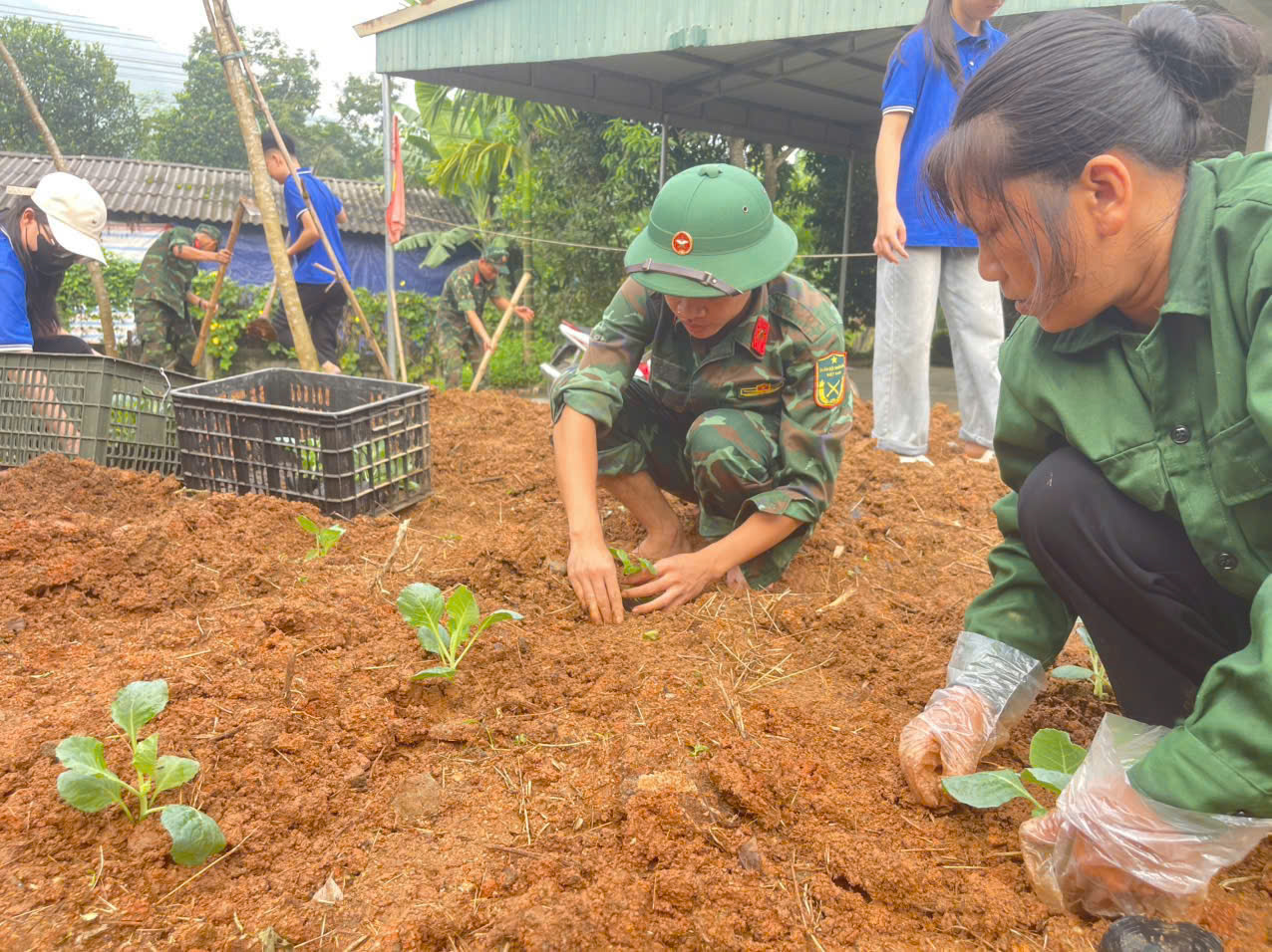 Nhữ Khê: Biến vườn bỏ hoang thành nguồn sinh kế cho người dân