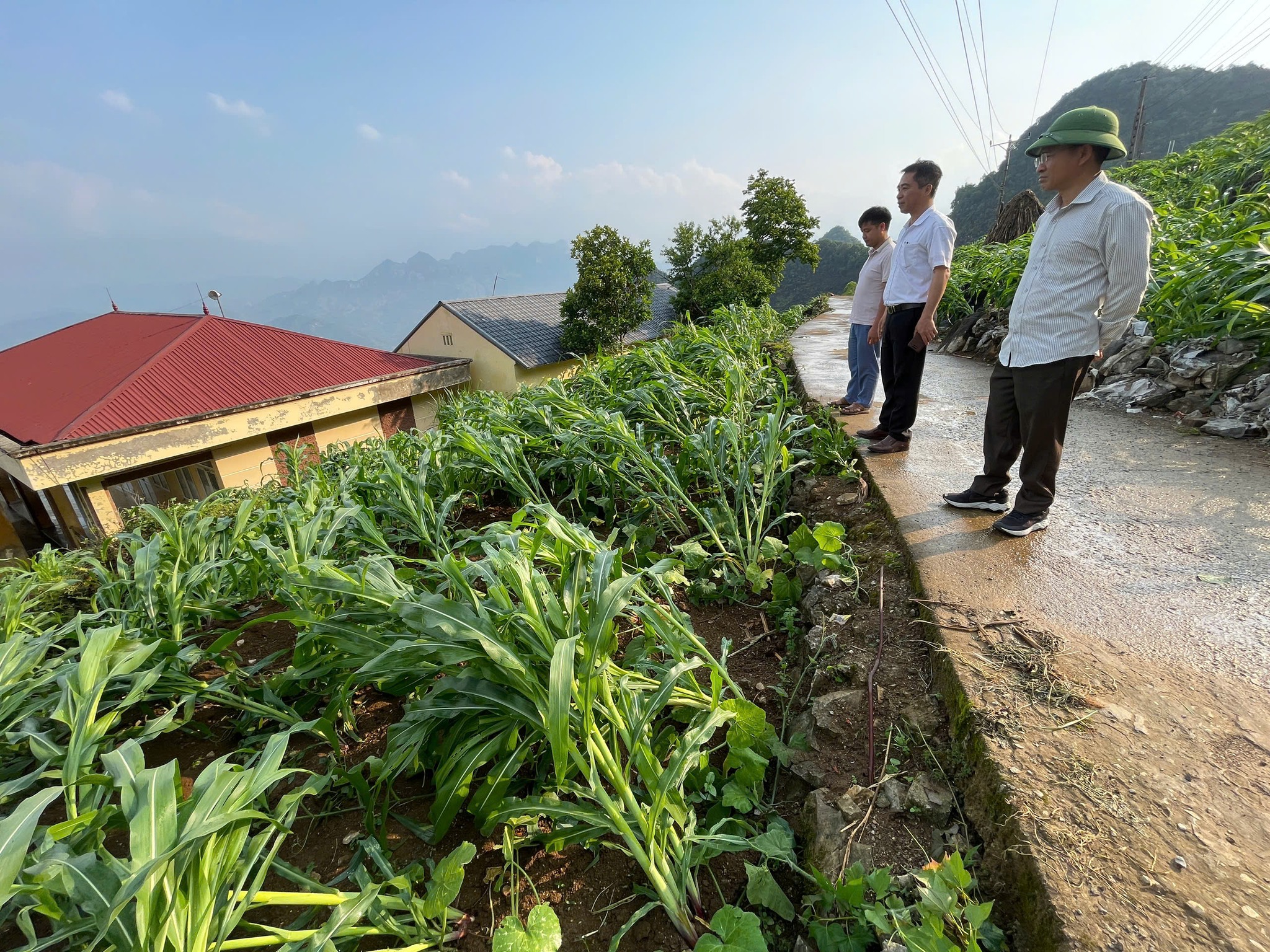 Lãnh đạo xã Lũng Phìn kiểm tra tình hình cây trồng sau mưa đá