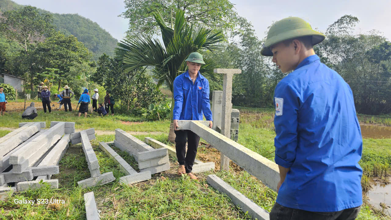 Vườn tạp 2.jpg