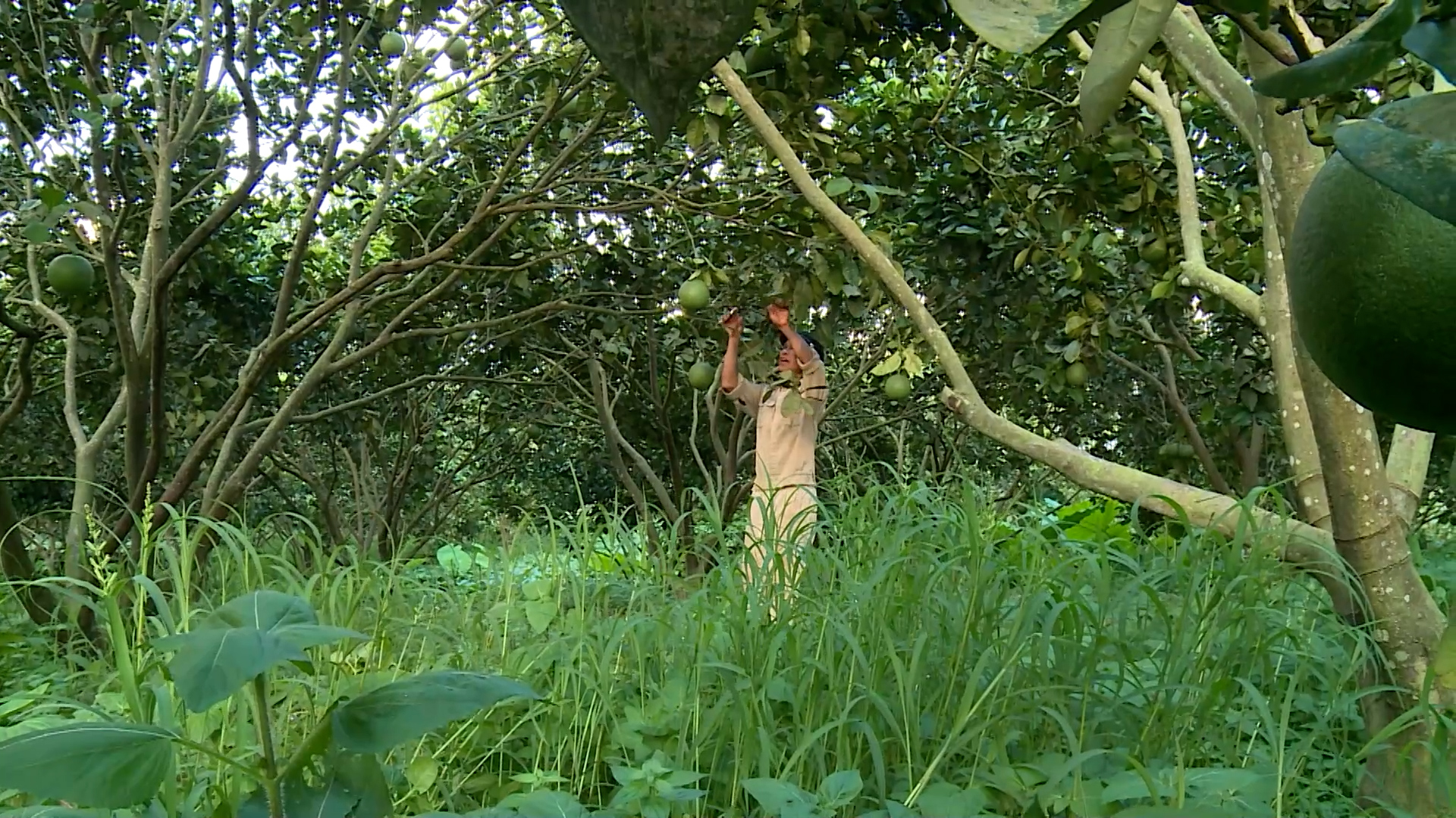 PS Đại hội Đảng bộ x&atilde; Y&ecirc;n Hoa.00_03_51_07.Still003.jpg