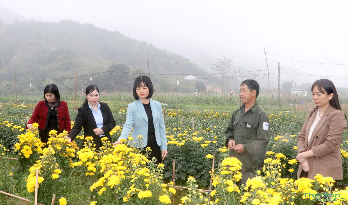 Đồng chí Bí thư Đảng ủy Nhữ Thị Tuyết Thanh khảo sát vùng trồng hoa màu trên địa bàn xã.