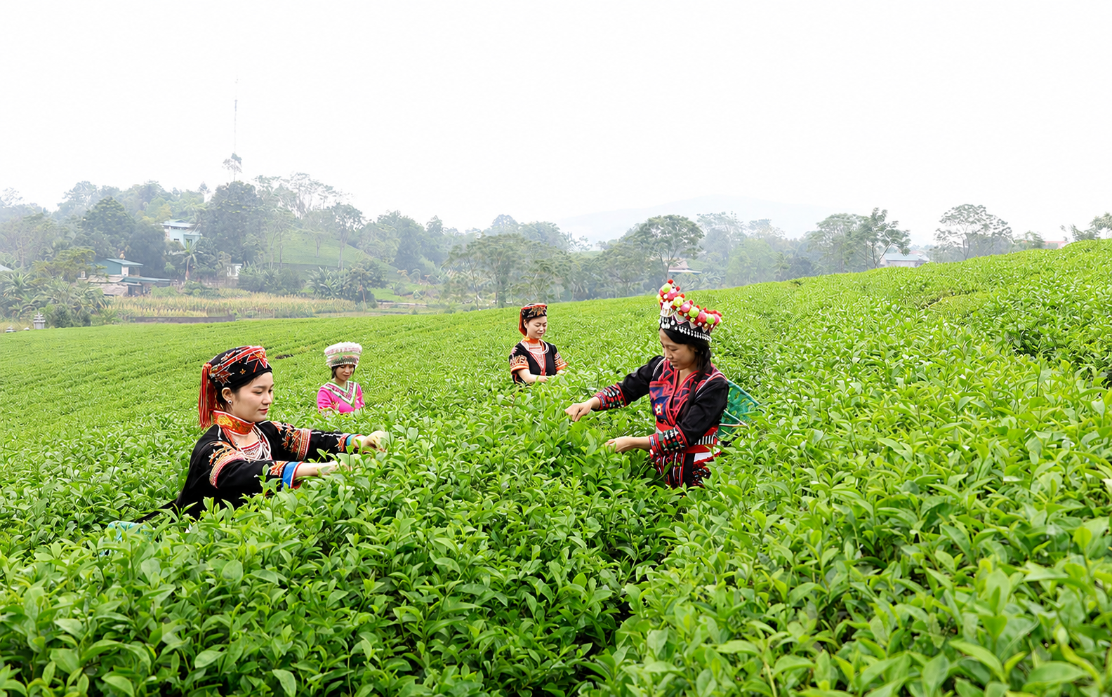 Phát triển kinh tế gắn với giảm nghèo