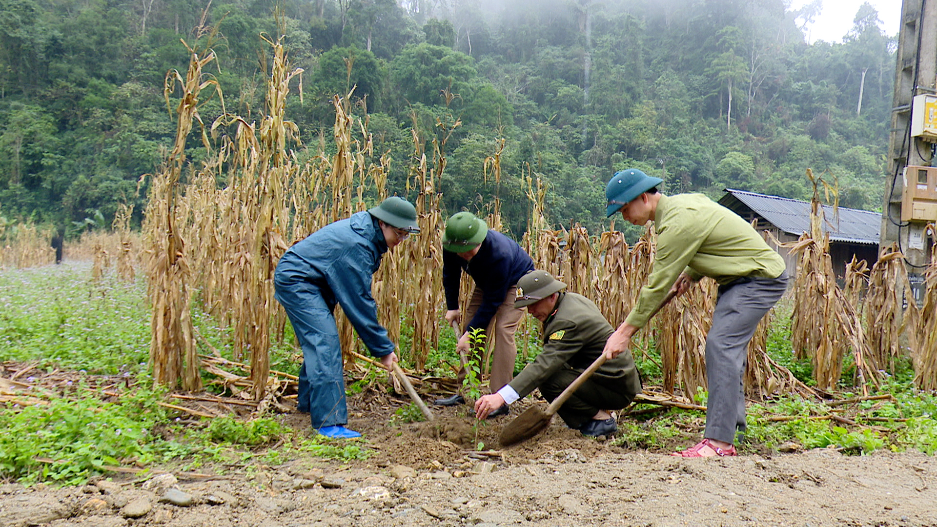 Xã Minh Quang tổ chức Lễ phát động “Tết trồng cây đời đời nhớ ơn Bác Hồ” Xuân Bình Ngọ 2026