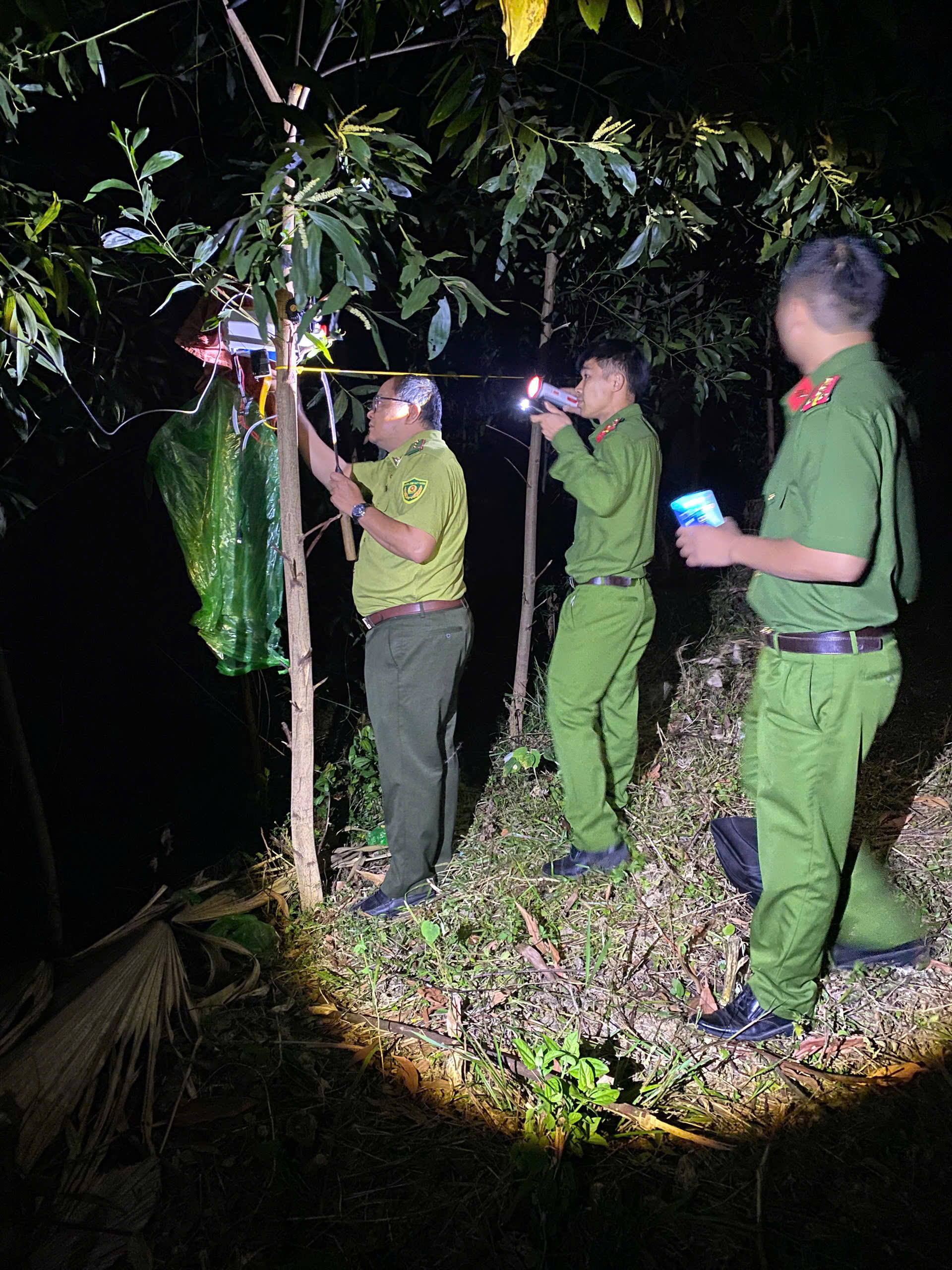 TĂNG CƯỜNG CÔNG TÁC PHÁT HIỆN, NGĂN CHẶN, XỬ LÝ TÌNH TRẠNG SĂN BẮN, BẪY BẮT CHIM HOANG DÃ