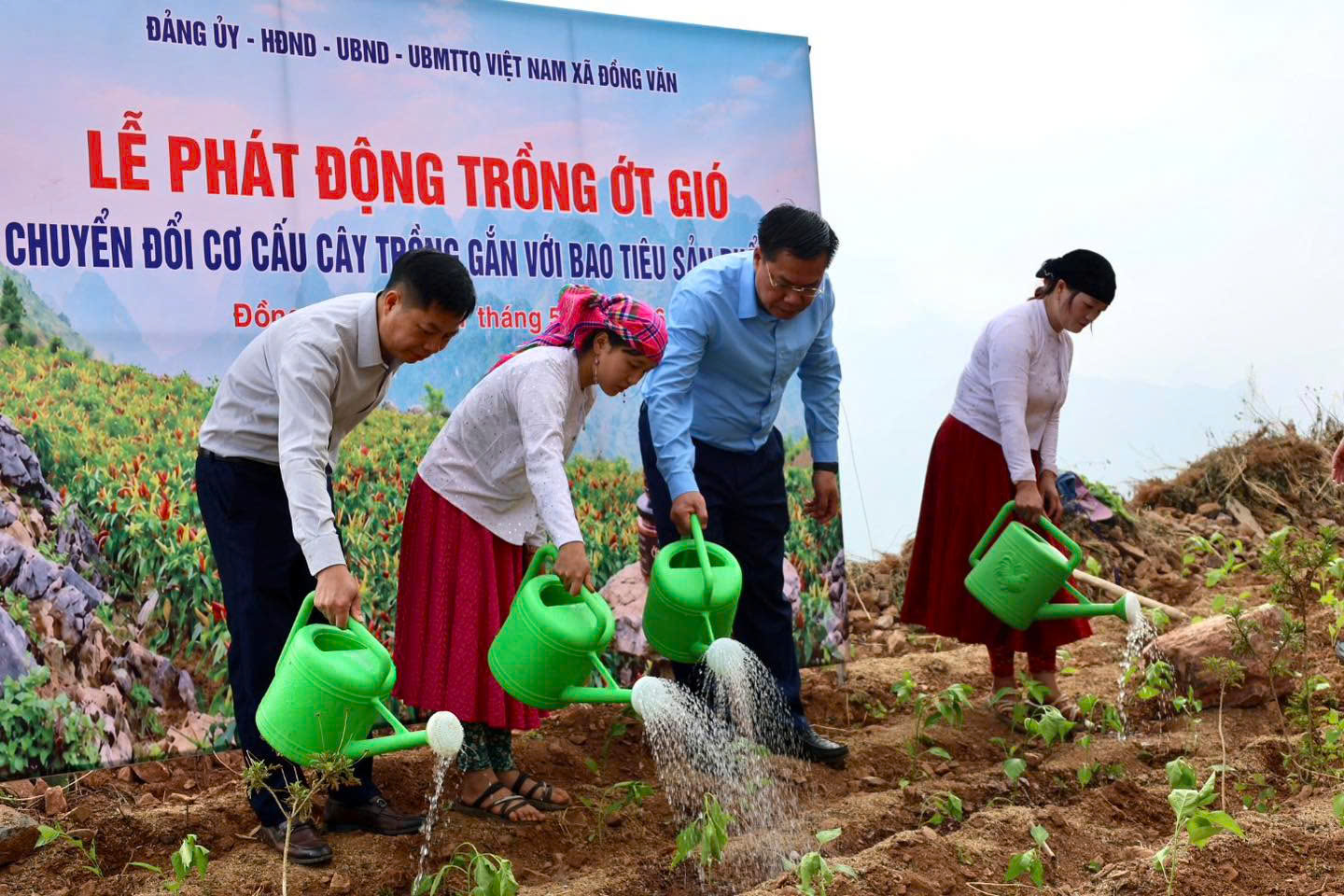 ĐỒNG VĂN  PHÁT ĐỘNG TRỒNG ỚT GIÓ THEO CHUỖI LIÊN KẾT BAO TIÊU SẢN PHẨM