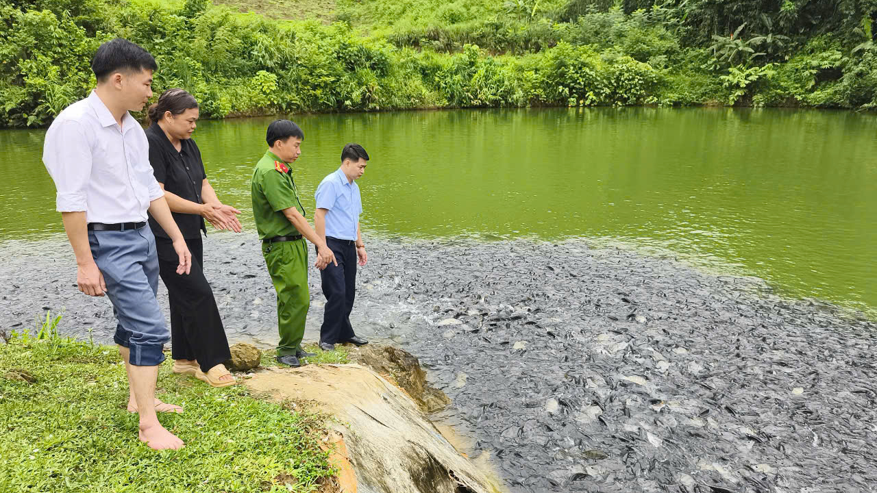 Đồng chí Nguyễn Văn Dũng, Phó Bí thư Đảng ủy, Chủ tịch UBND xã Tiên Yên thăm, kiểm tra một số mô hình phát triển kinh tế trên địa bàn