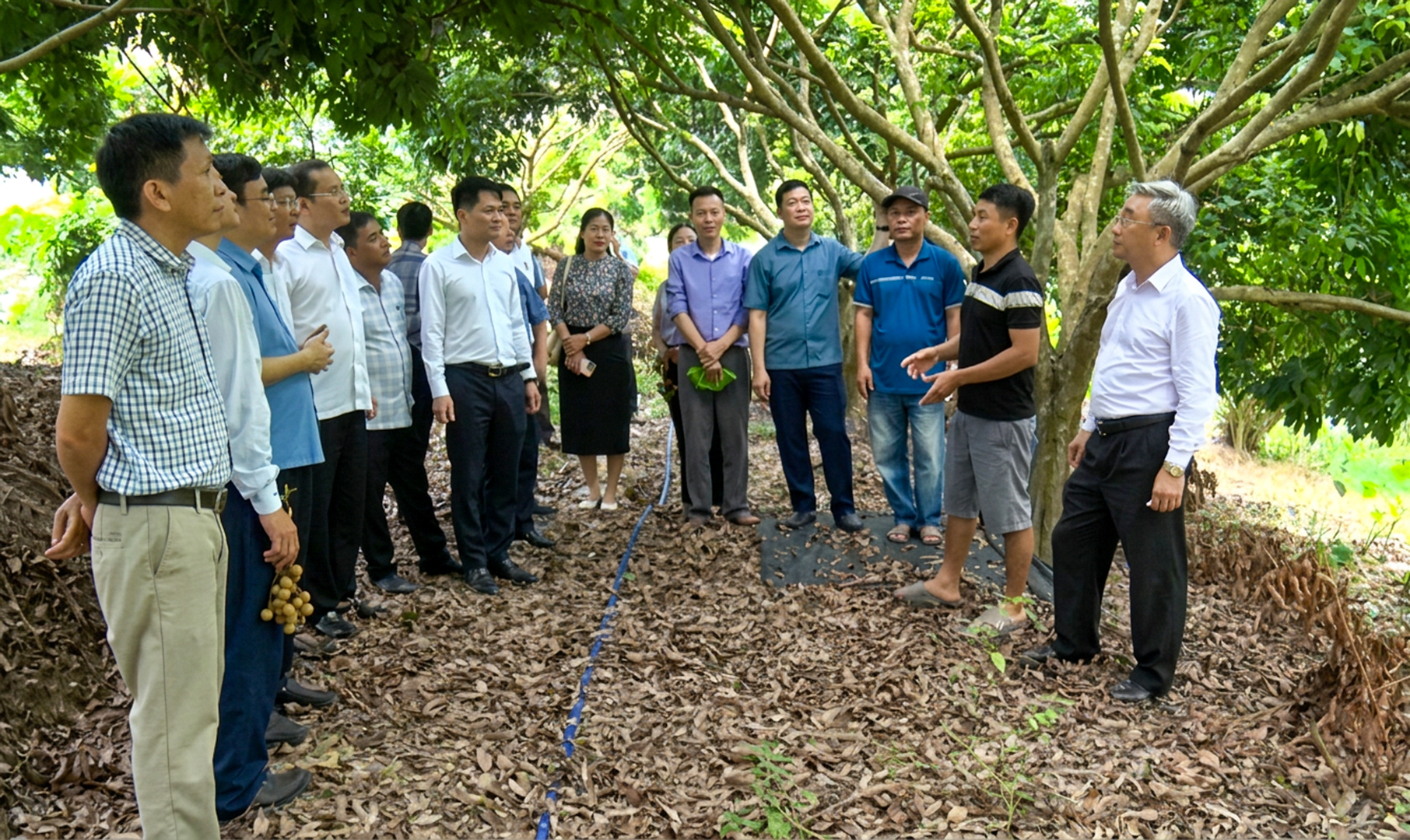 Hướng dẫn nộp trực tuyến hồ sơ đề nghị hưởng trợ cấp hưu tr&iacute; x&atilde; hội cho ngươi 75 tuổi dễ l&agrave;m.00_17_00_11.jpg