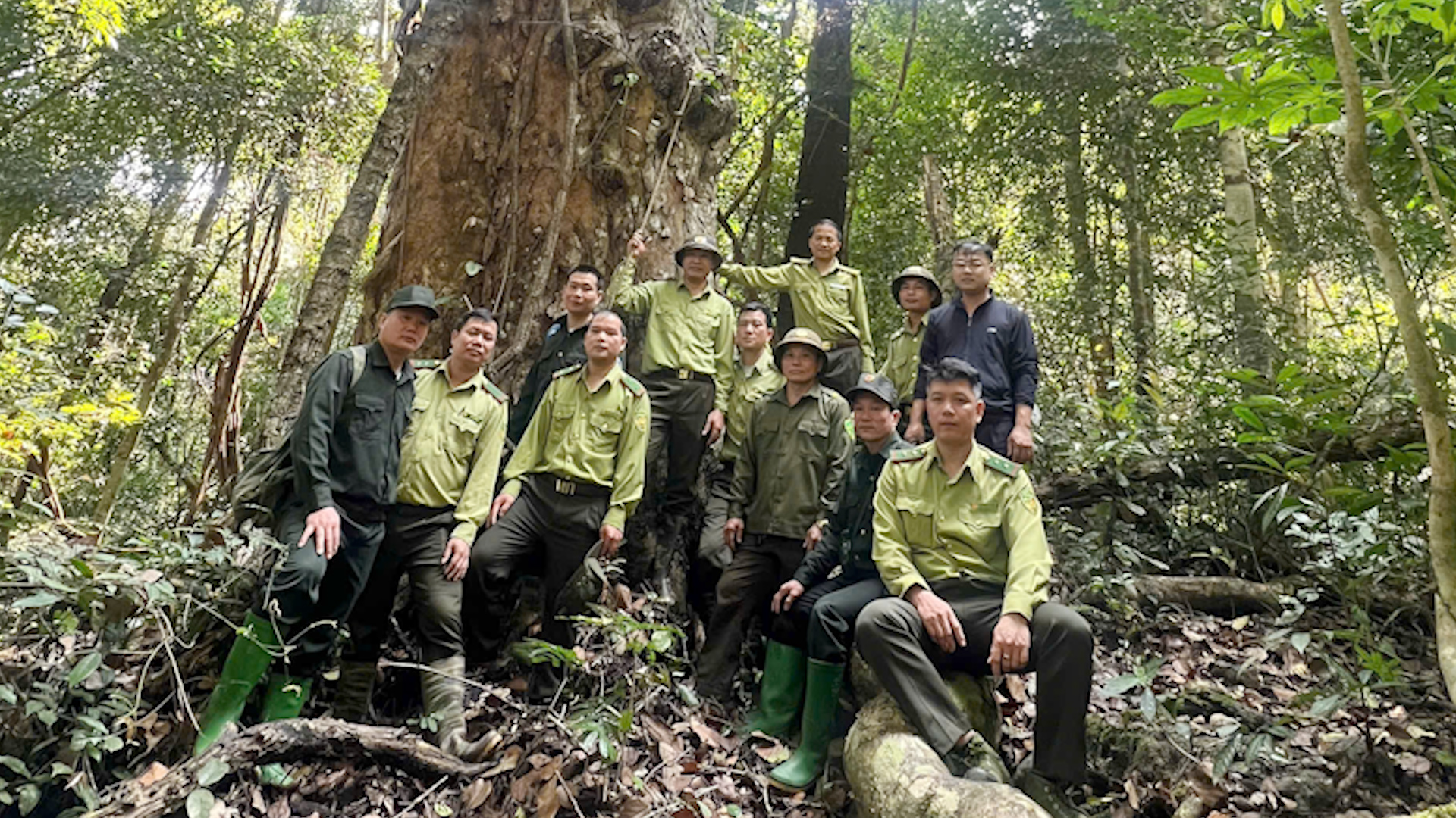 Tăng cường phòng cháy, chữa cháy rừng trong mùa nắng nóng trên địa bàn xã Yên Hoa