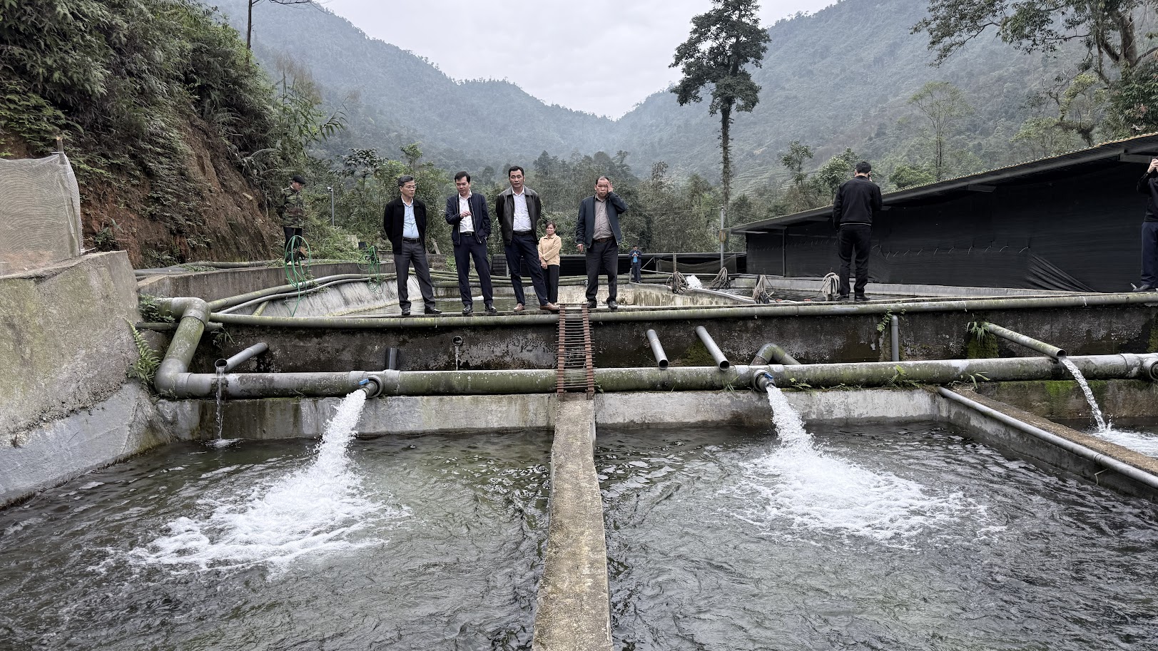 Viện Kinh tế và thể chế nông nghiệp, Học viện Nông nghiệp Việt Nam khảo sát, hỗ trợ xã Tân Quang xây dựng thương hiệu cá Tầm Nậm An và chuỗi sản xuất chuối Ngự thôn Tân Tấu, xã Tân Quang