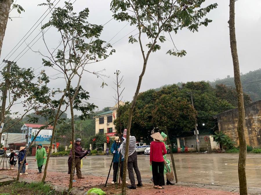 phát động trồng cây .44.jpg