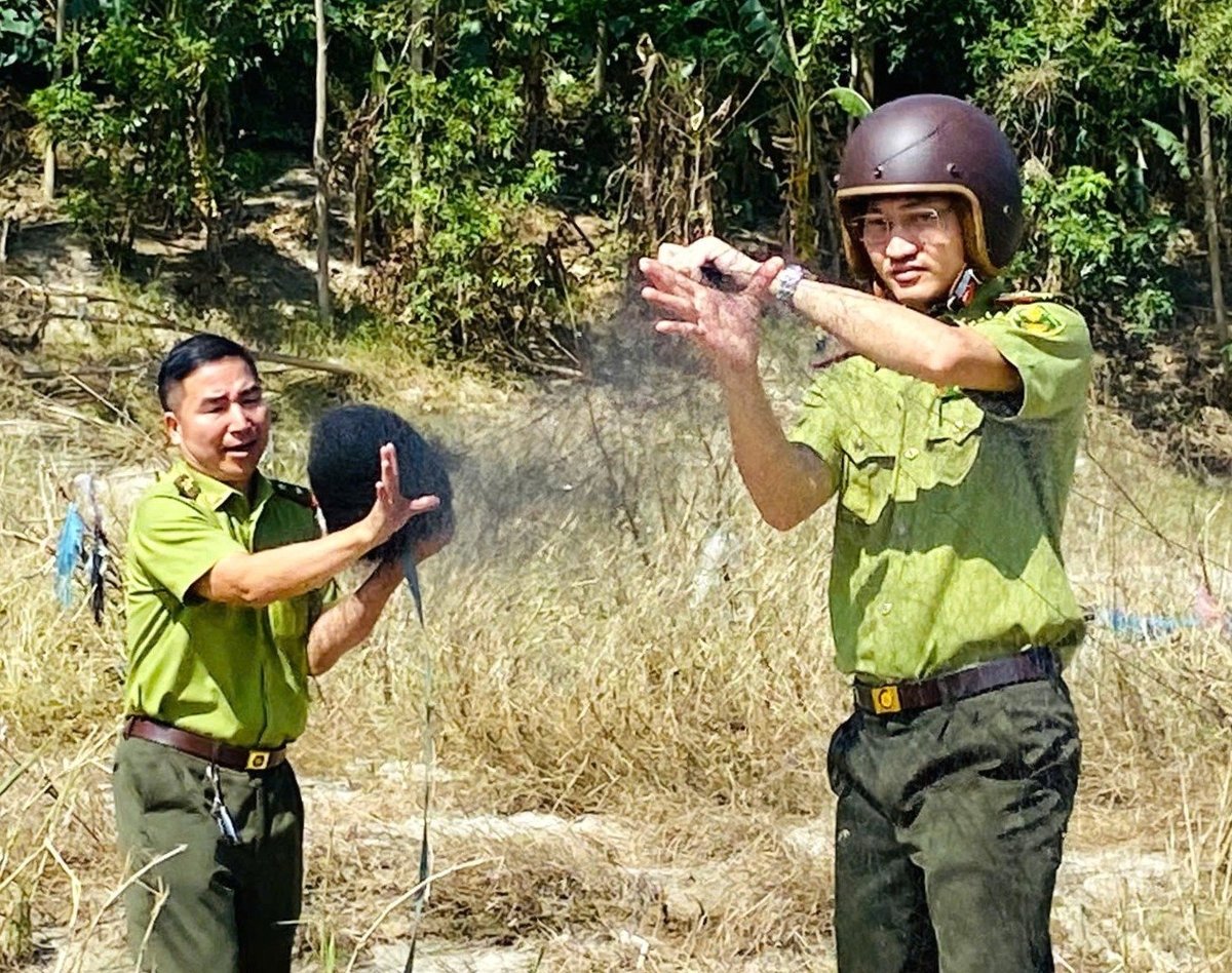 Kiểm lâm Tuyên Quang ‘mạnh tay’ với nạn bẫy chim trời