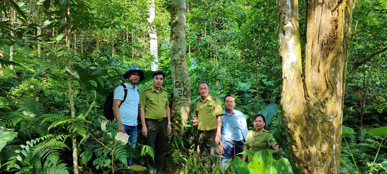 Tuyên Quang: Hạt Kiểm lâm Khu vực VI bảo vệ và phát triển rừng bền vững