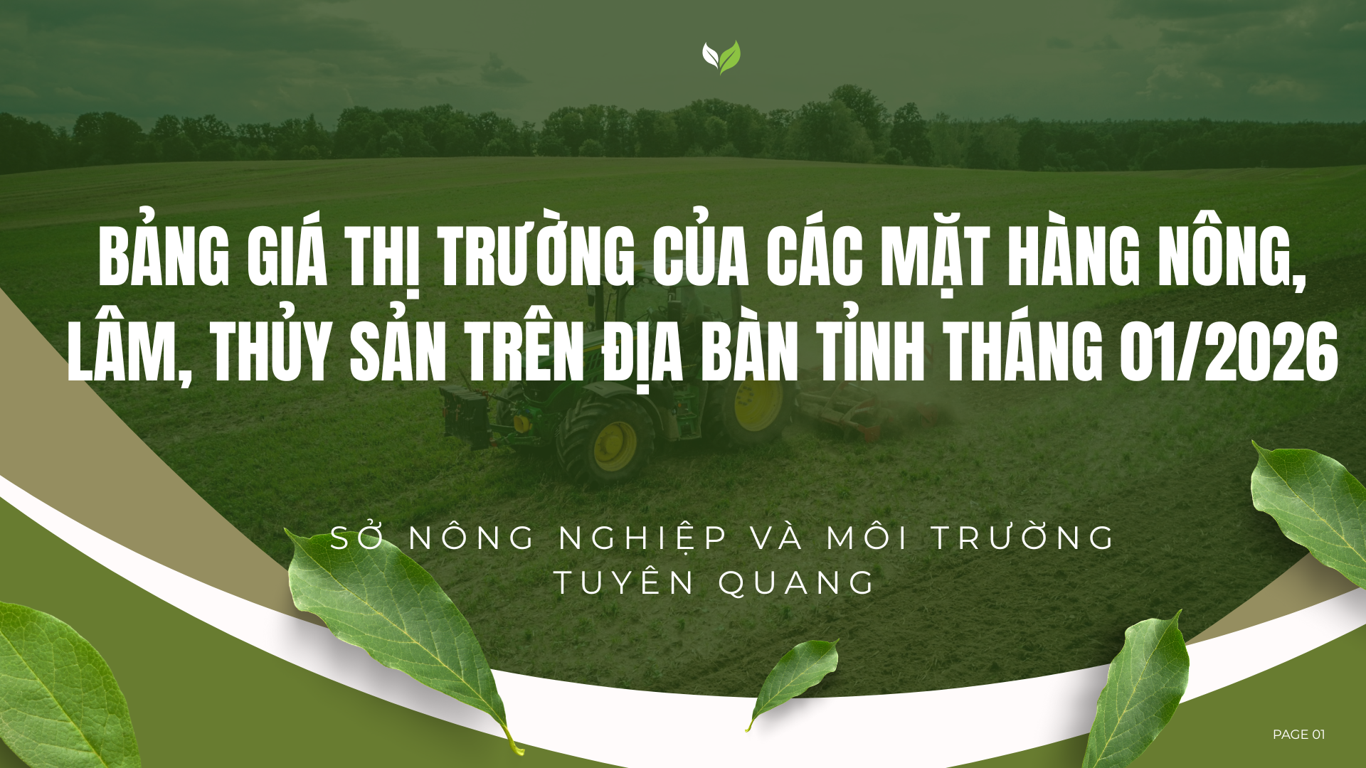 Thông báo giá các mặt hàng nông, lâm, thuỷ sản trên địa bàn tỉnh Tuyên Quang Tháng 01/2026