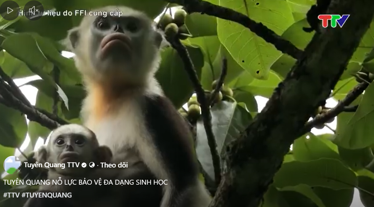 Tuyên Quang nỗ lực bảo vệ đa dạng sinh học